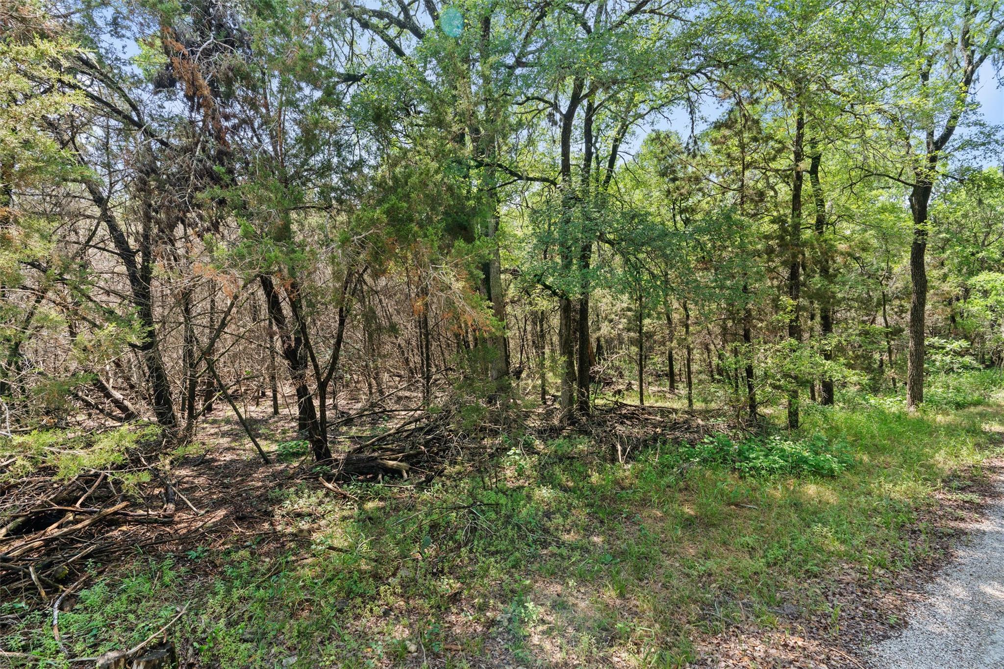 419 Valley View West Rd, San Marcos, TX 78666