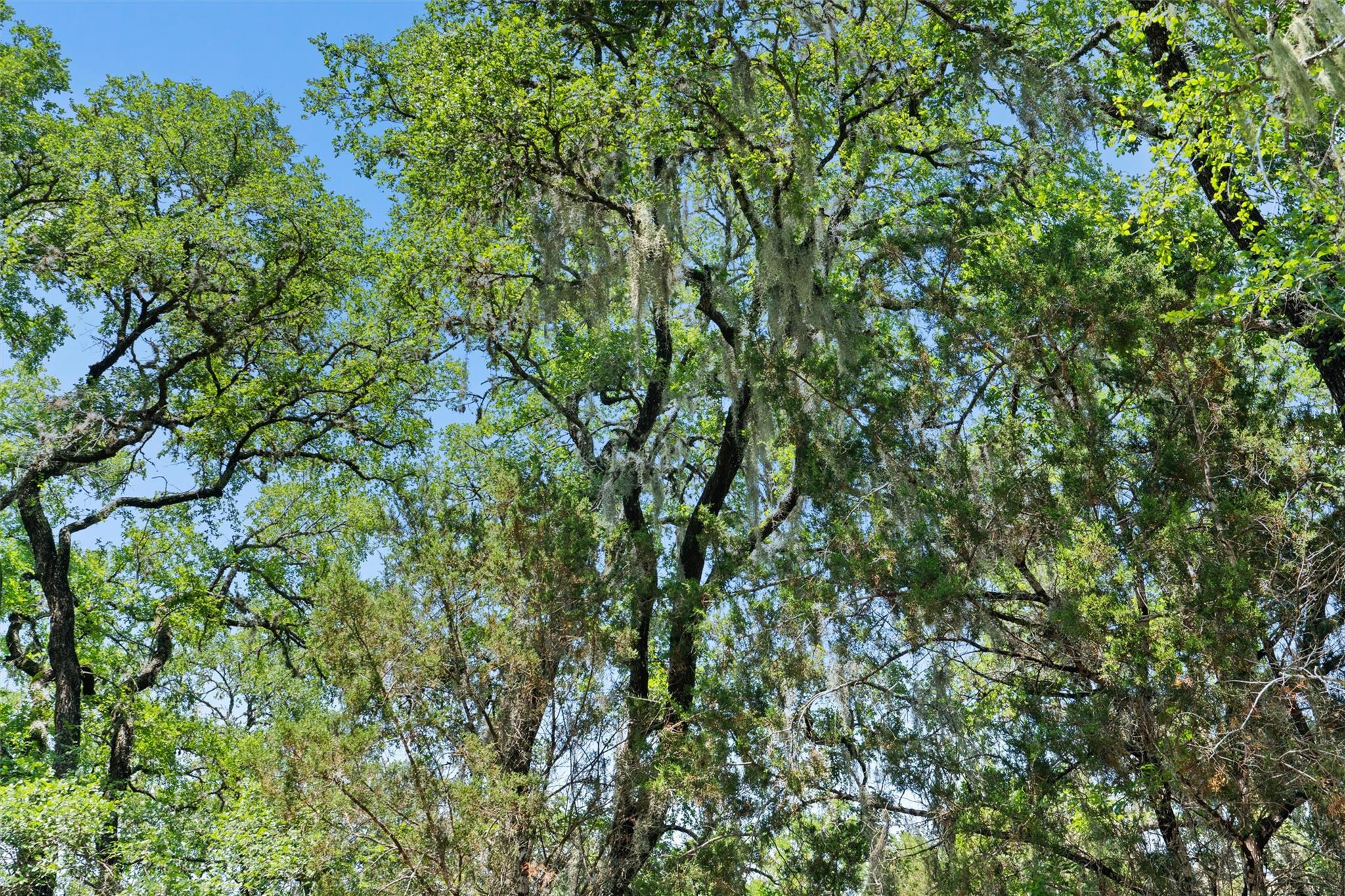 419 Valley View West Rd, San Marcos, TX 78666