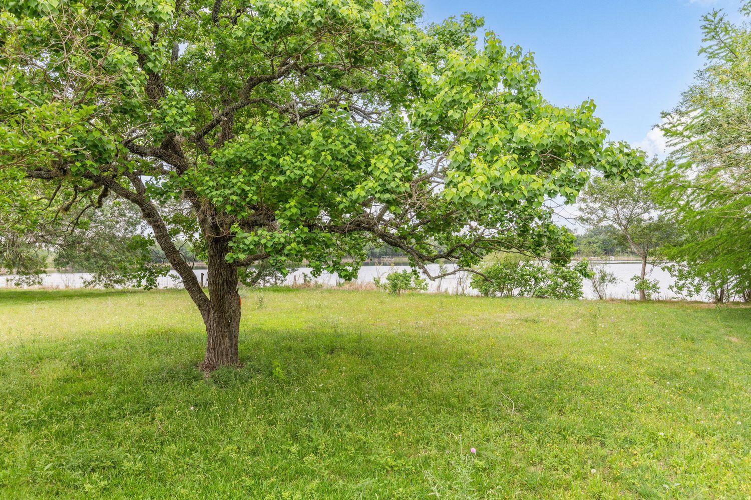 907 Horace Howard Dr, San Marcos, TX 78666