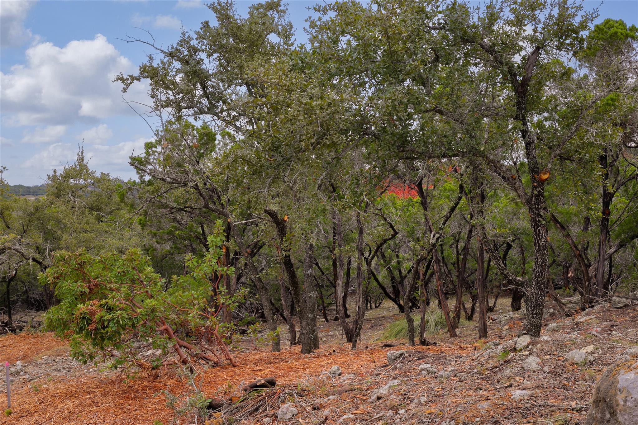 2900 Stagecoach Ranch Loop, Dripping Springs, TX 78620