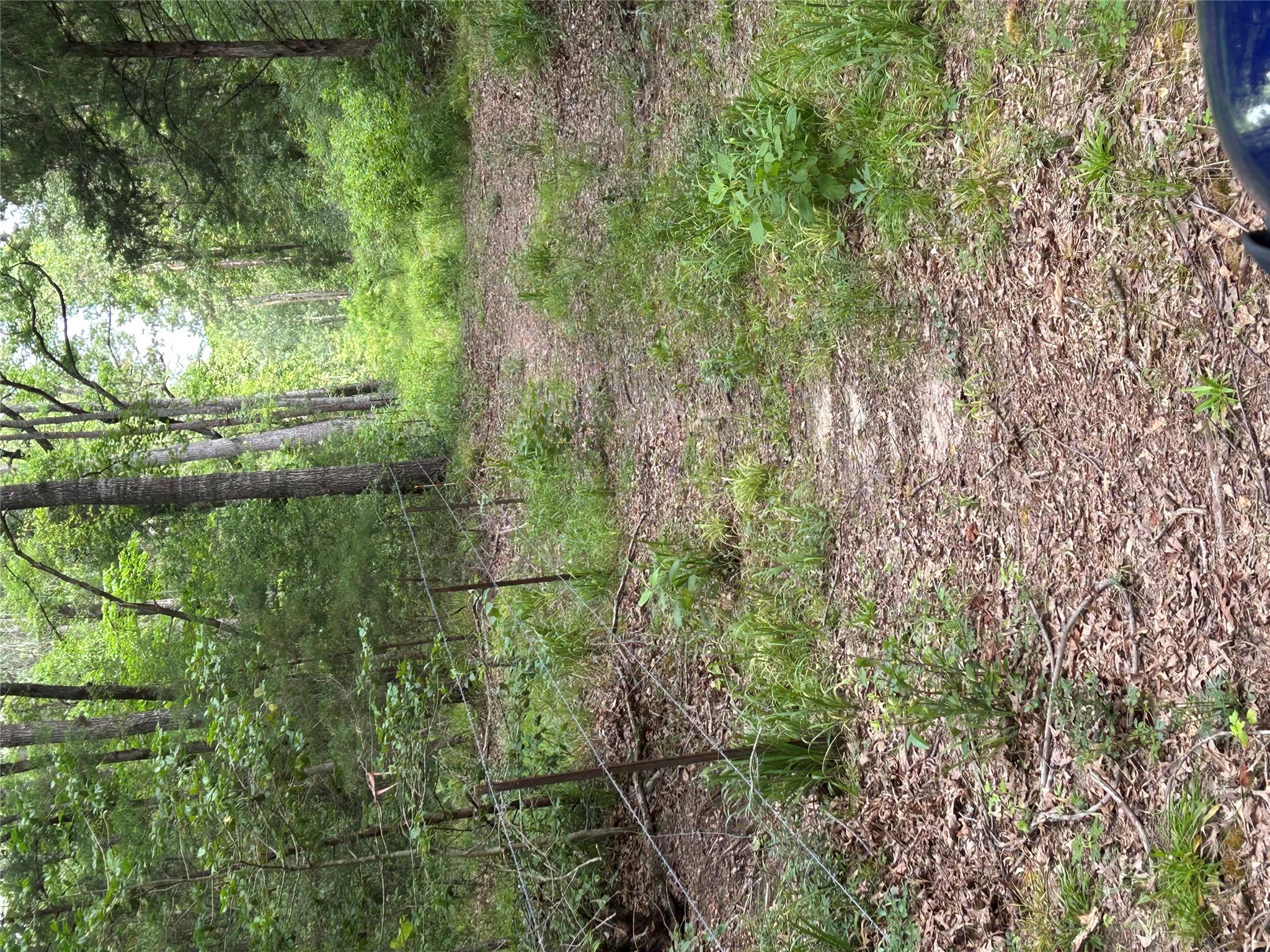 000 An County Road 137 Rd, Elkhart, TX 75839