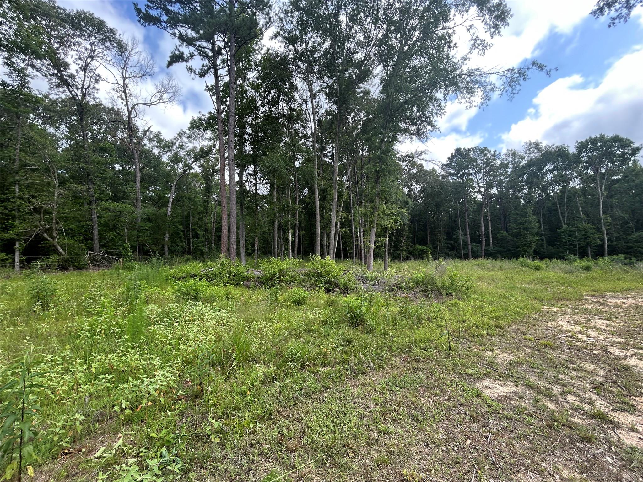 000 An County Road 137 Rd, Elkhart, TX 75839