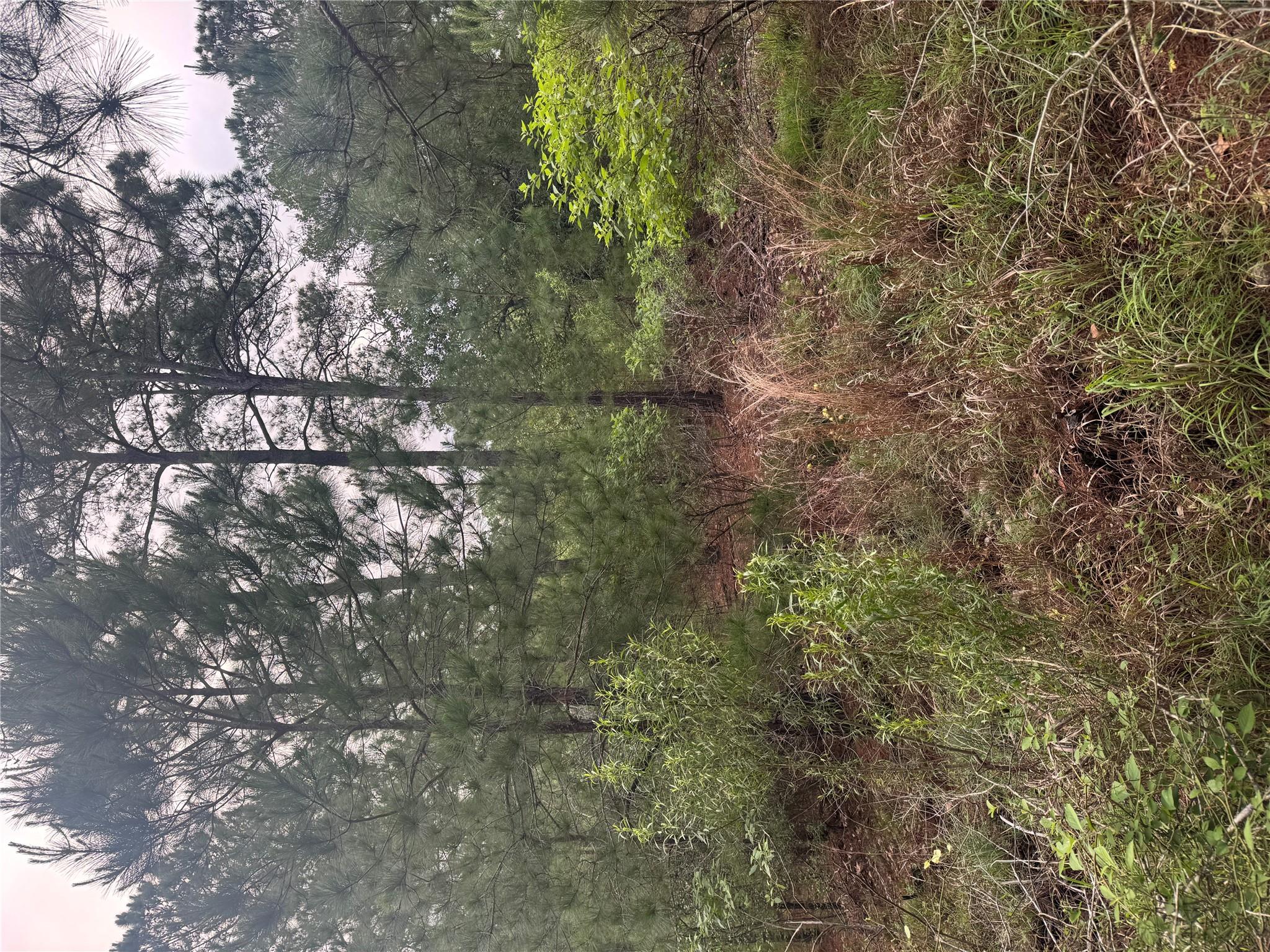 Lot 1491 Haleakala, Bastrop, TX 78602