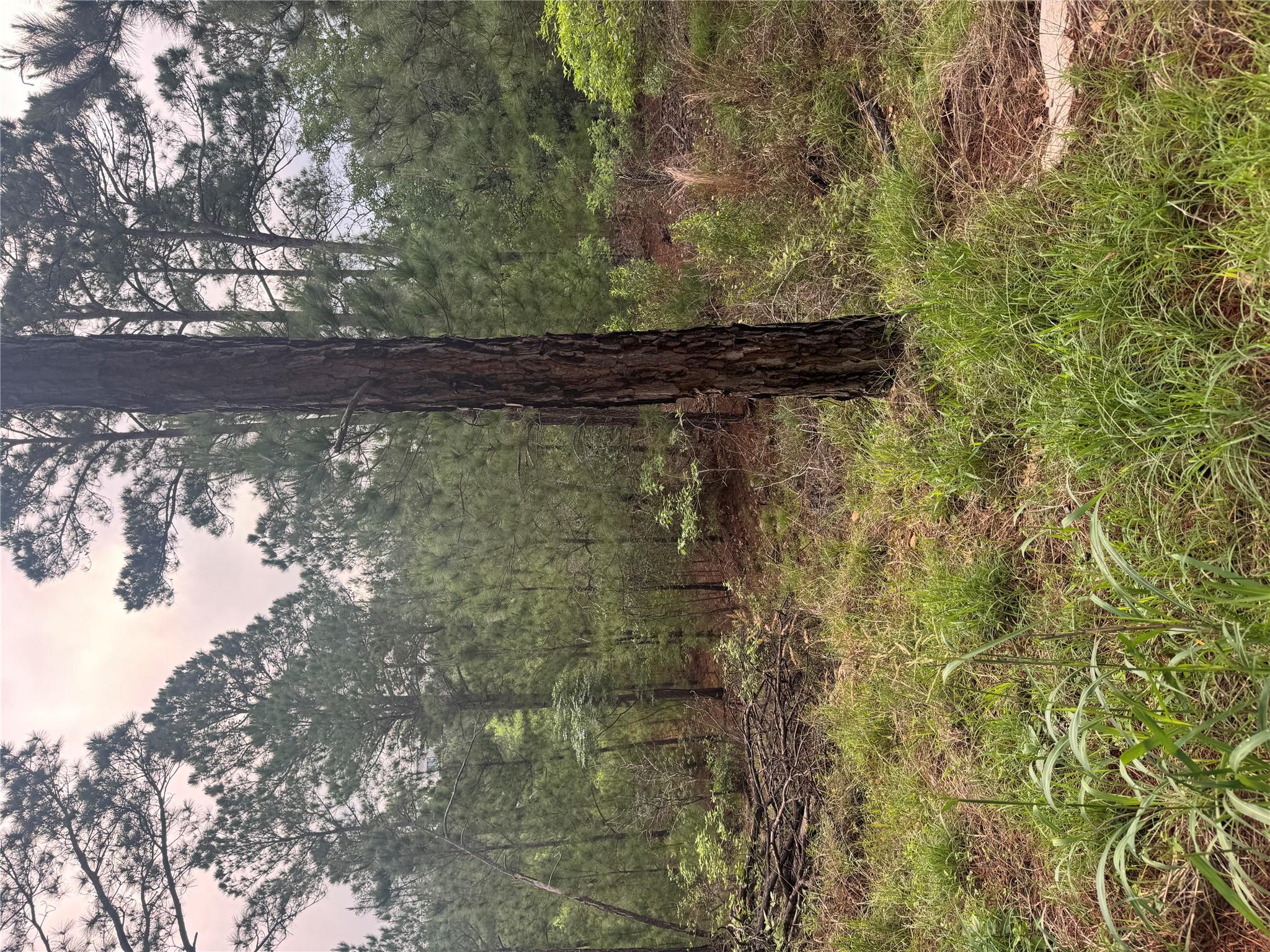 Lot 1491 Haleakala, Bastrop, TX 78602