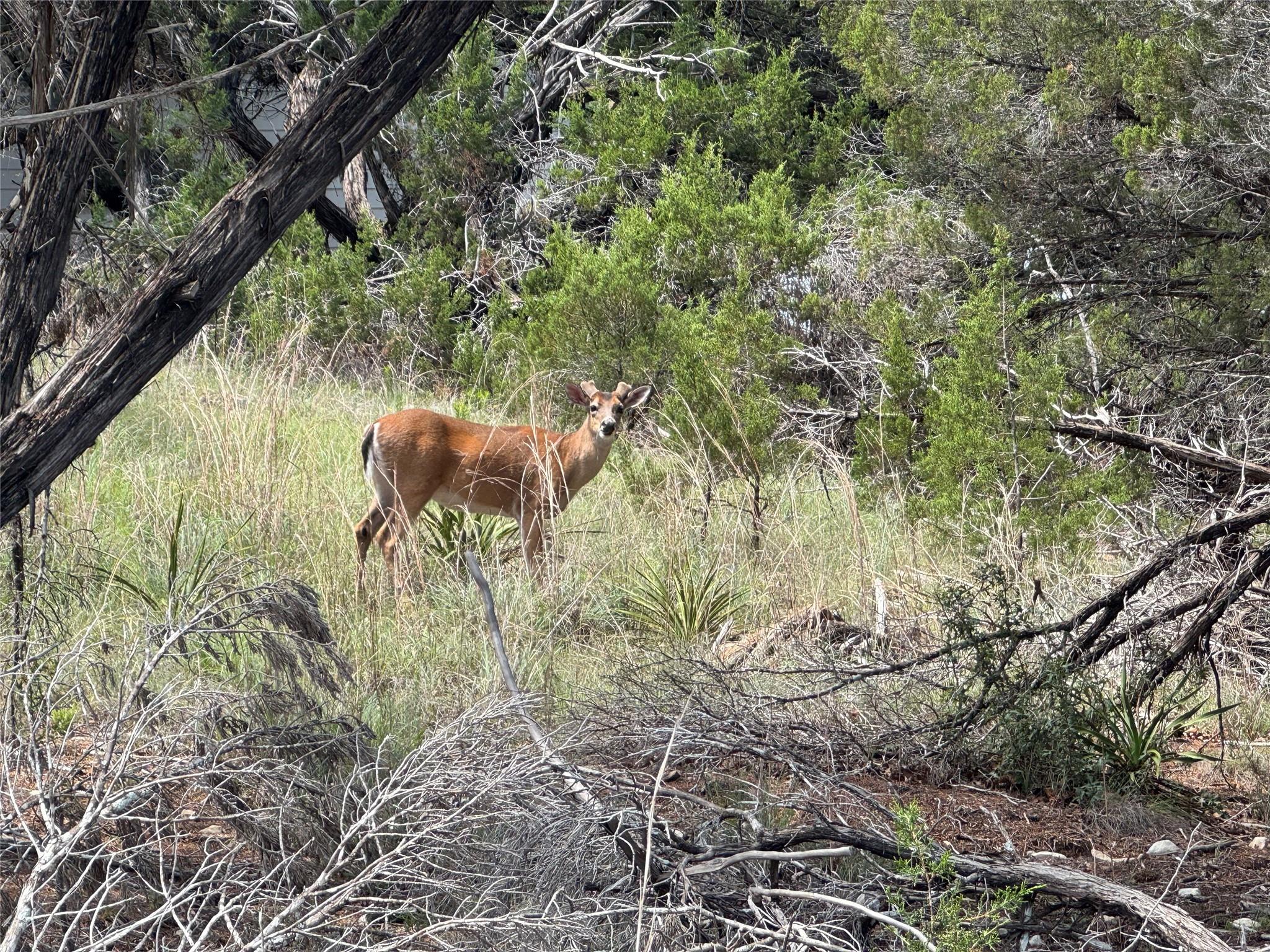 6800 Brewer Ln, Lago Vista, TX 78645