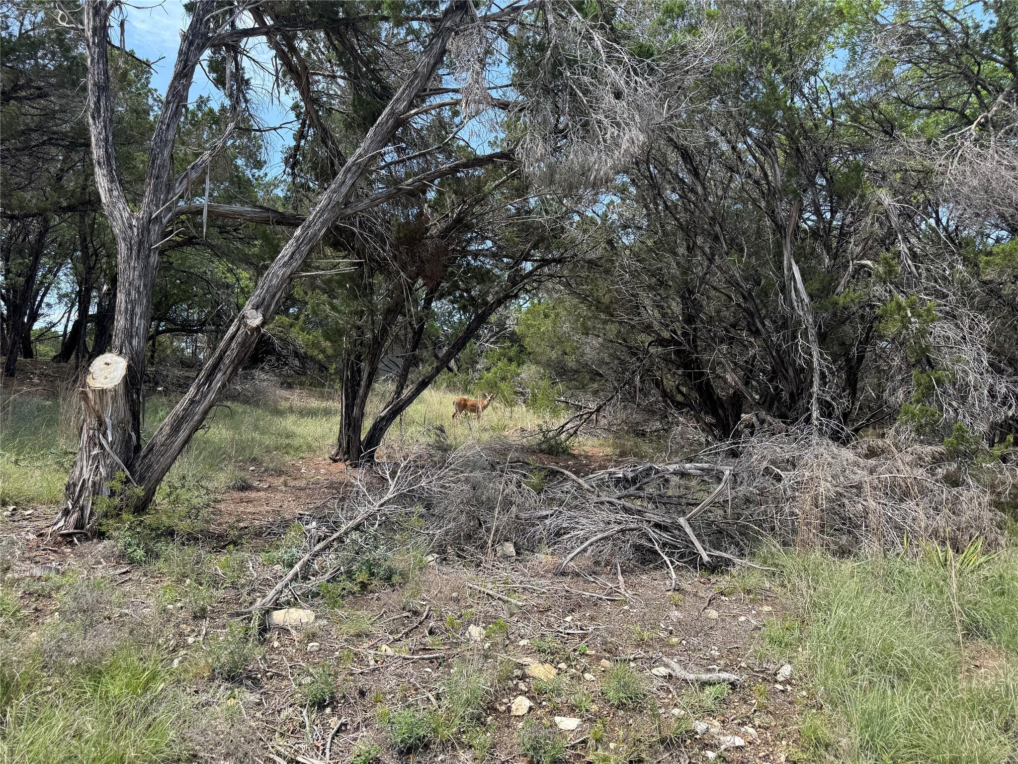 6800 Brewer Ln, Lago Vista, TX 78645