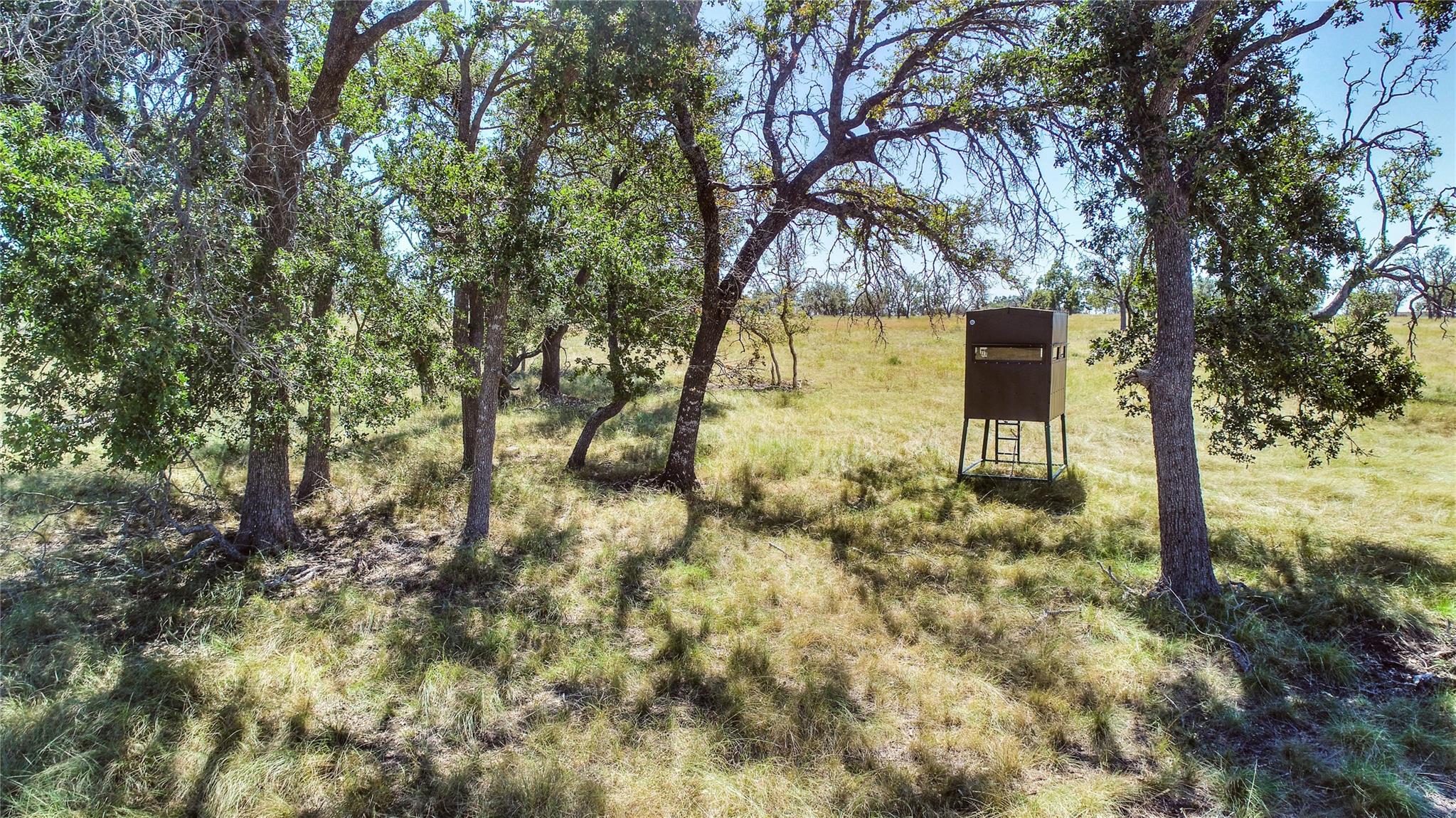 619 Cornehl Rd, Fredericksburg, TX 78624