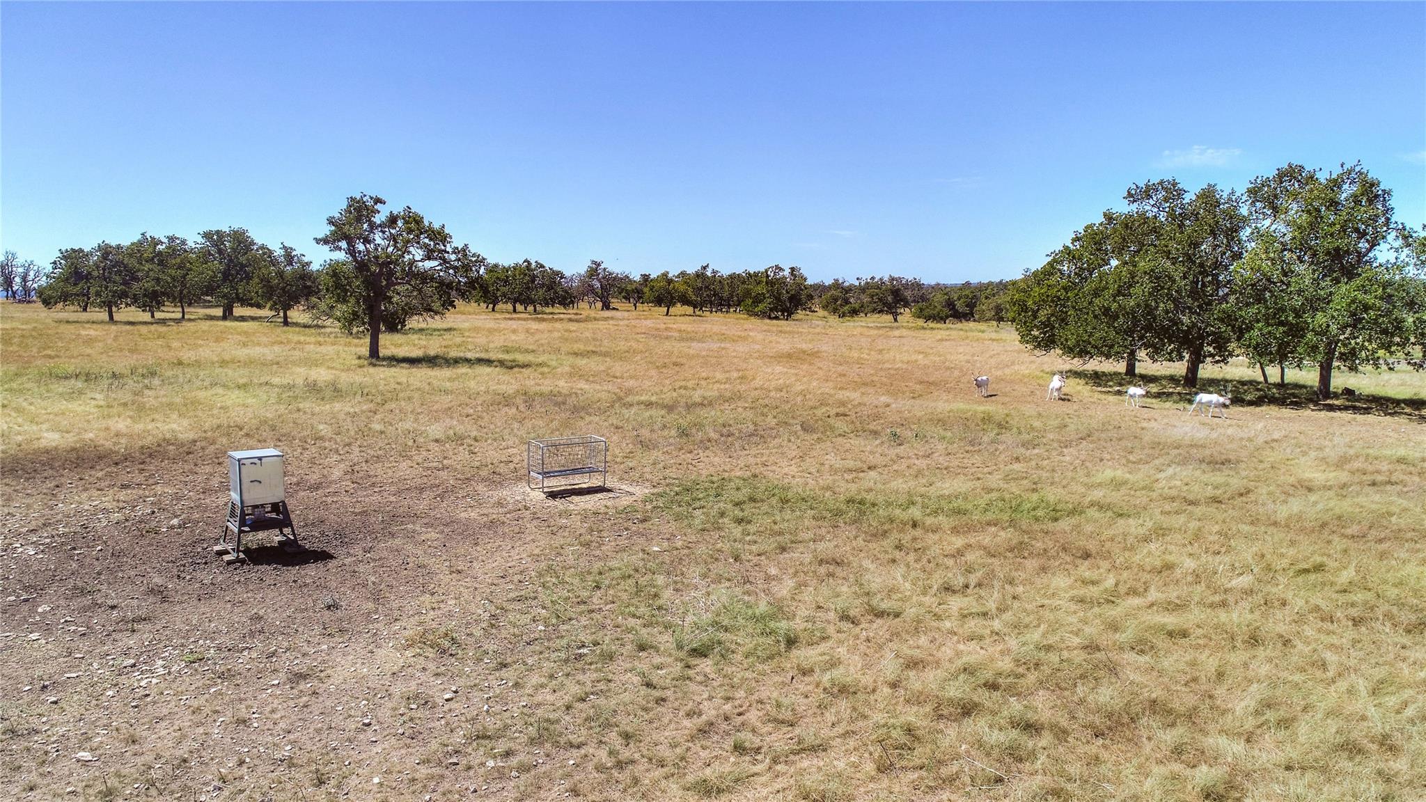 619 Cornehl Rd, Fredericksburg, TX 78624