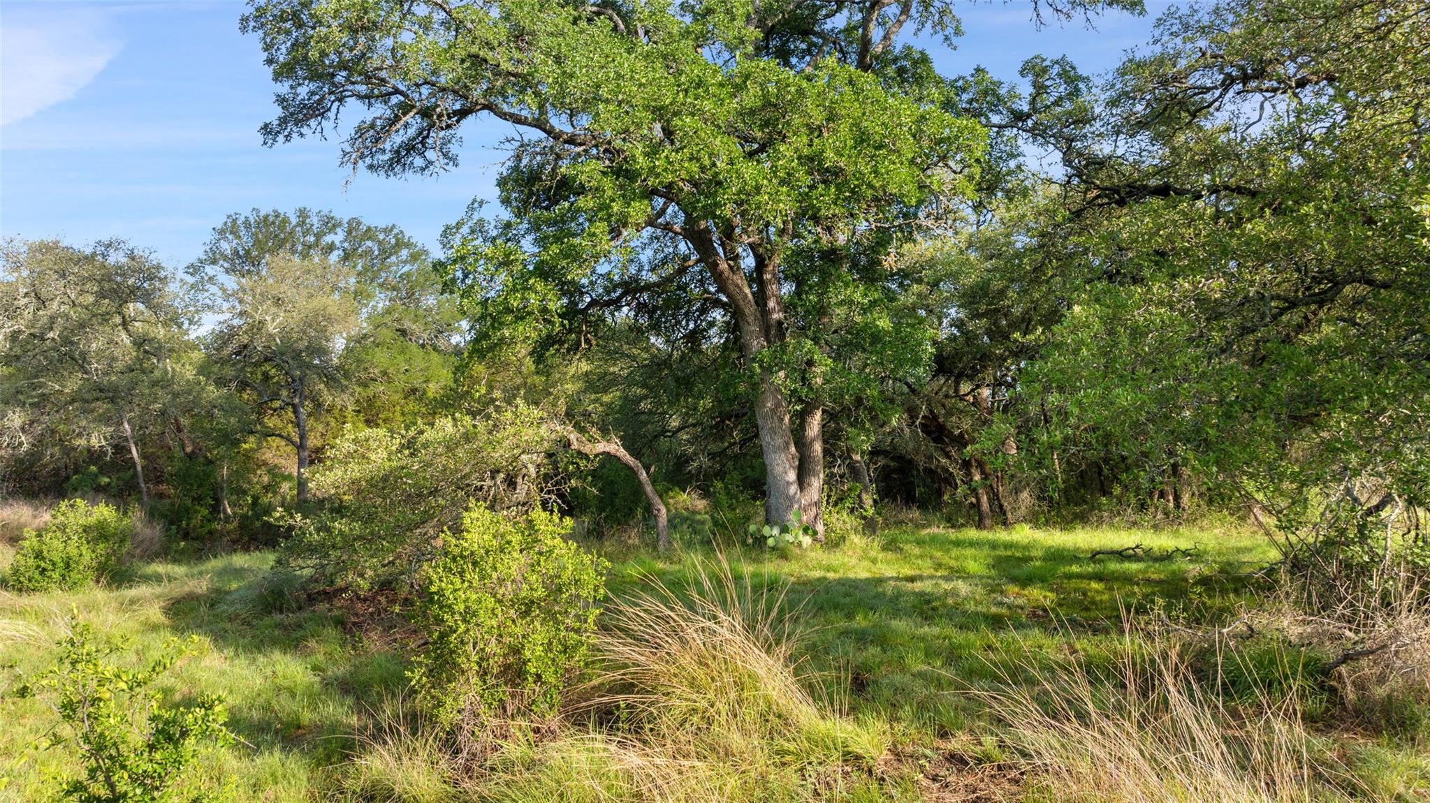 Lot 7 Morning Dew Dr, Round Mountain, TX 78663