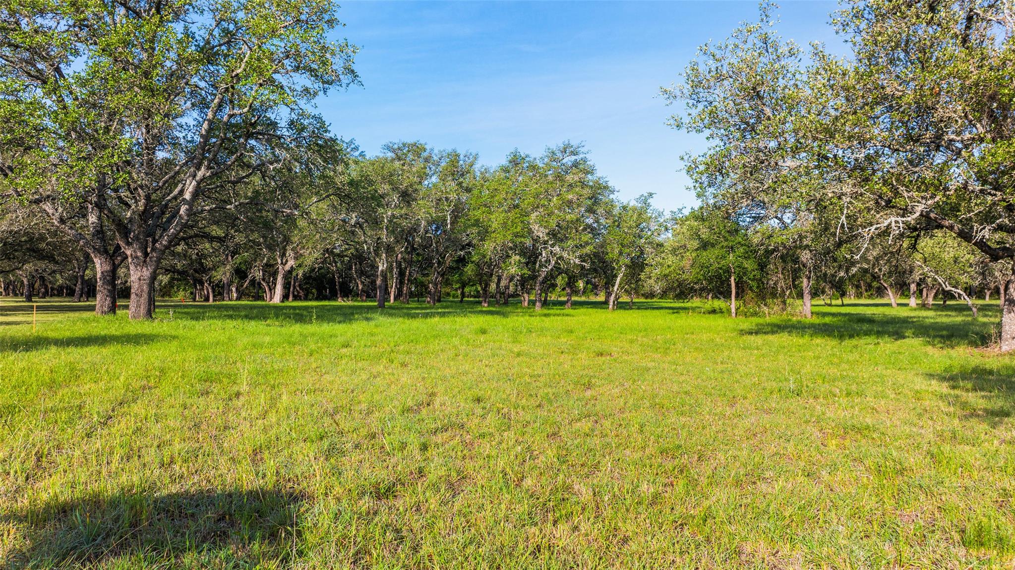 Lot 7 Morning Dew Dr, Round Mountain, TX 78663