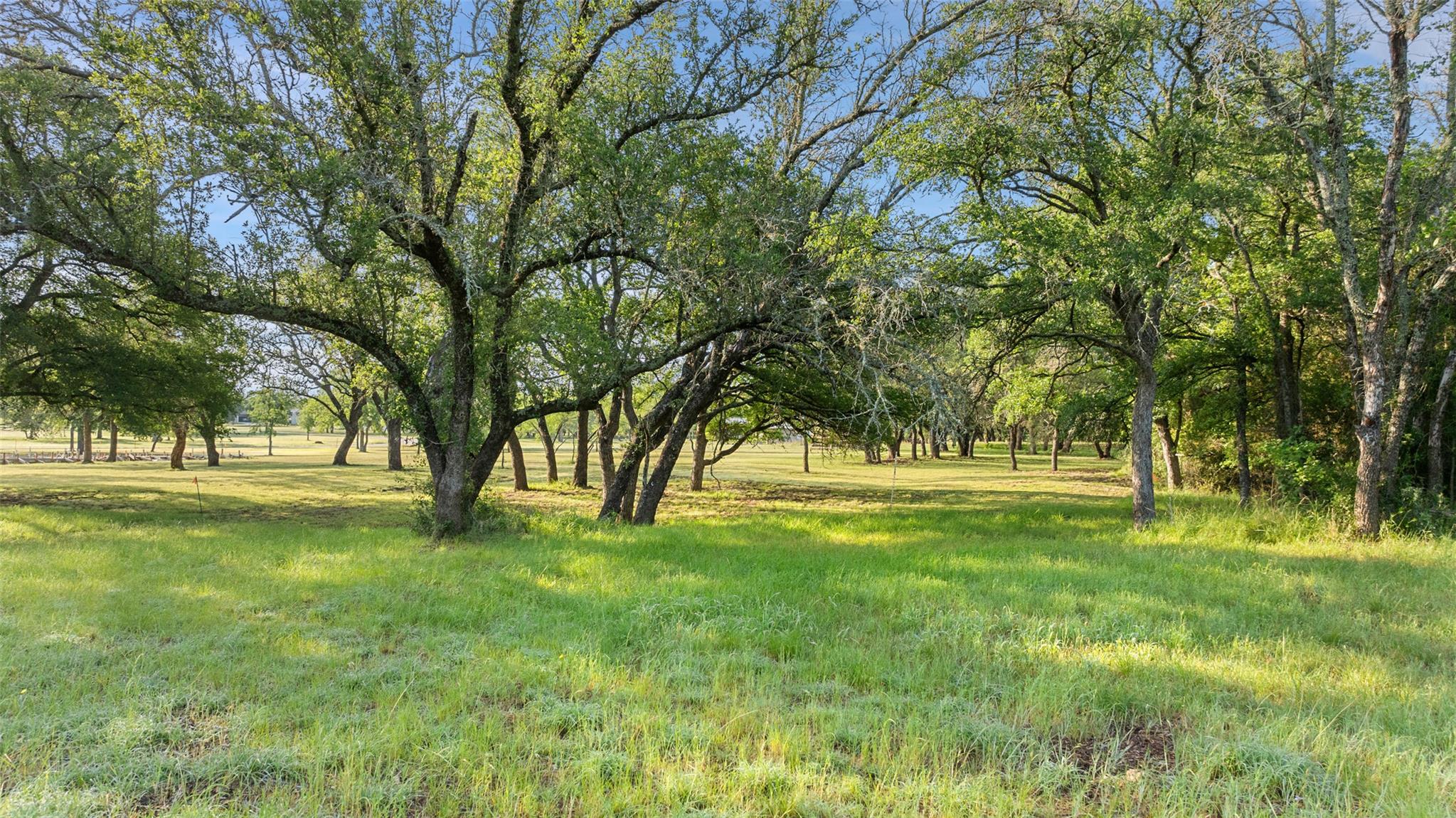 Lot 7 Morning Dew Dr, Round Mountain, TX 78663