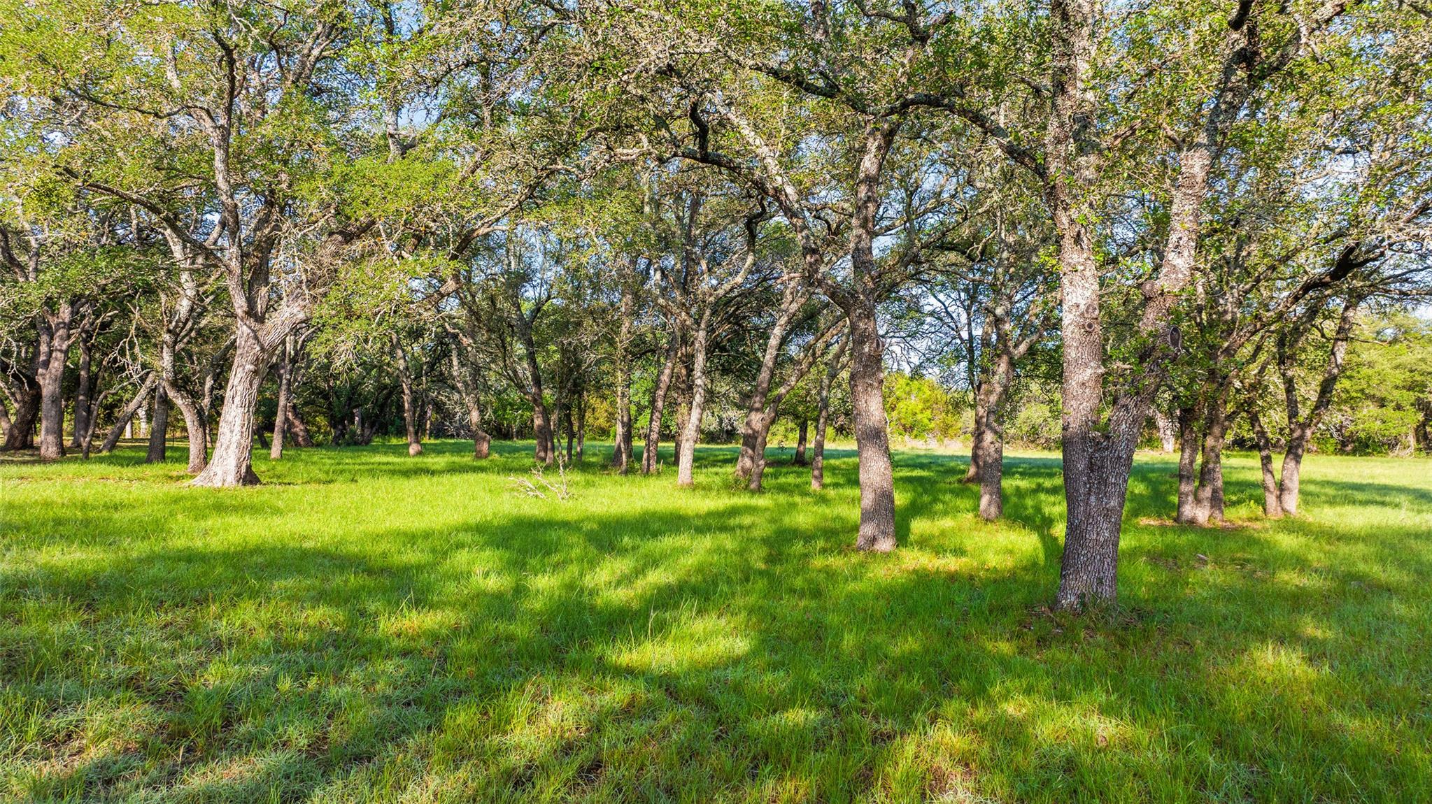 Lot 7 Morning Dew Dr, Round Mountain, TX 78663