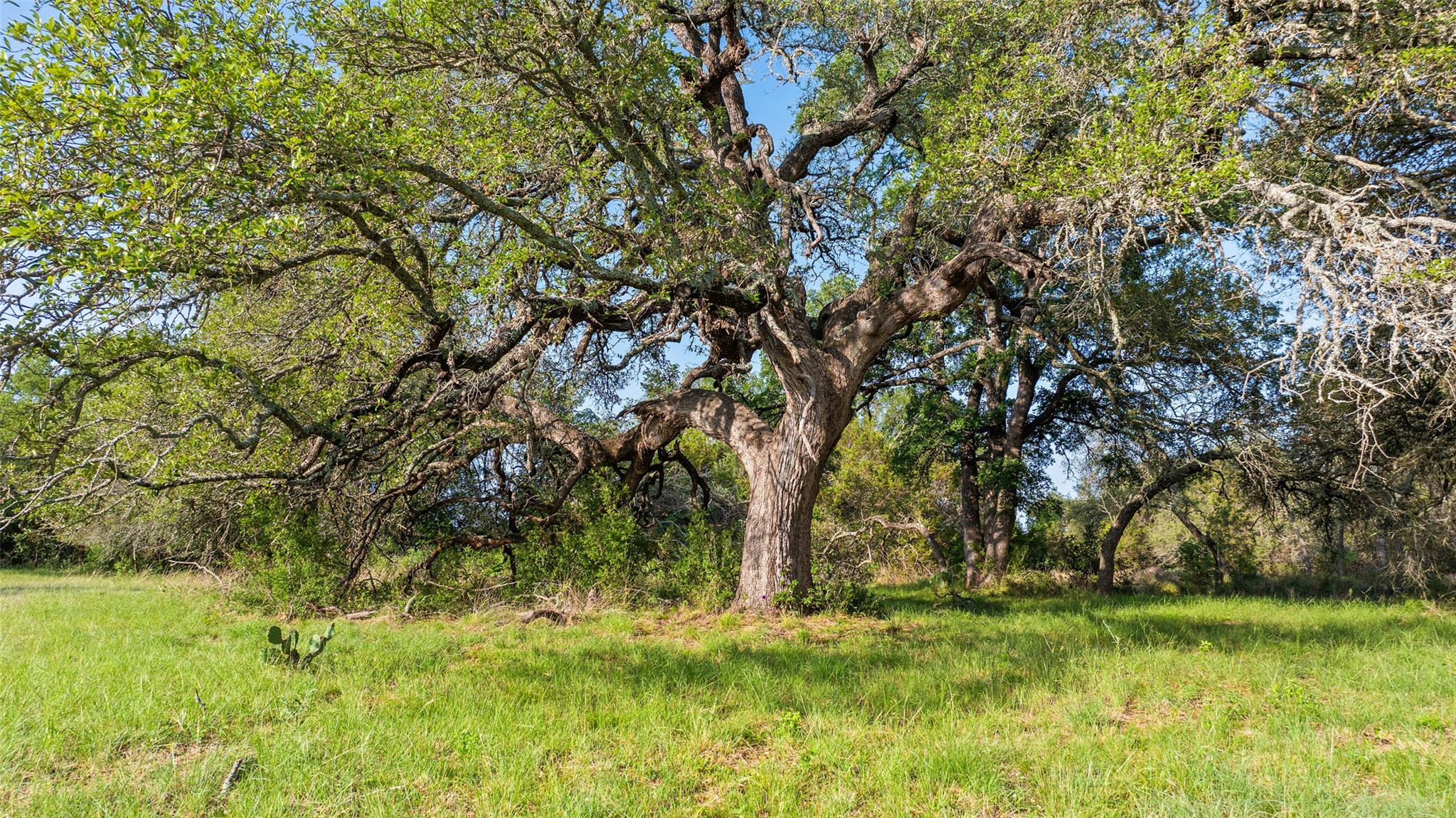 Lot 7 Morning Dew Dr, Round Mountain, TX 78663