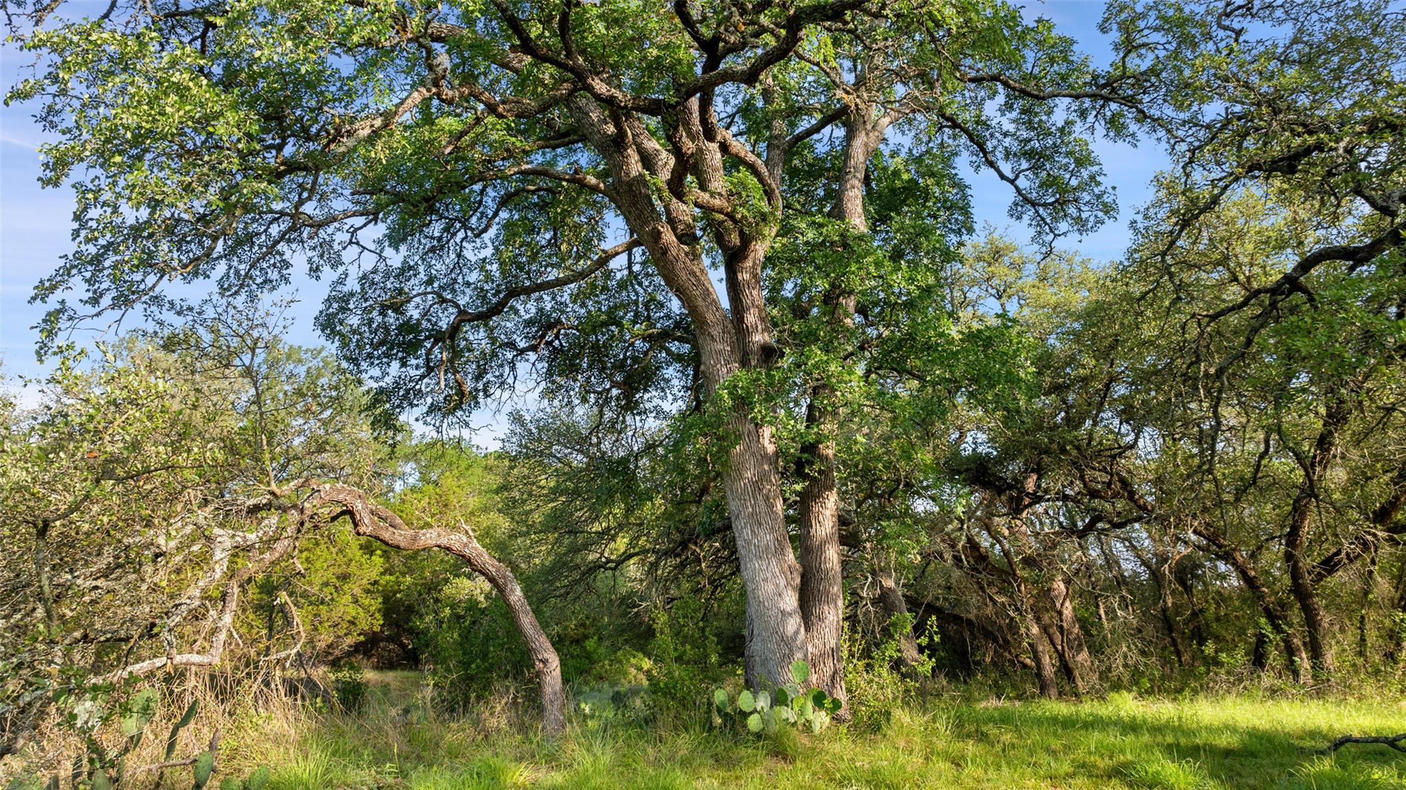 Lot 7 Morning Dew Dr, Round Mountain, TX 78663