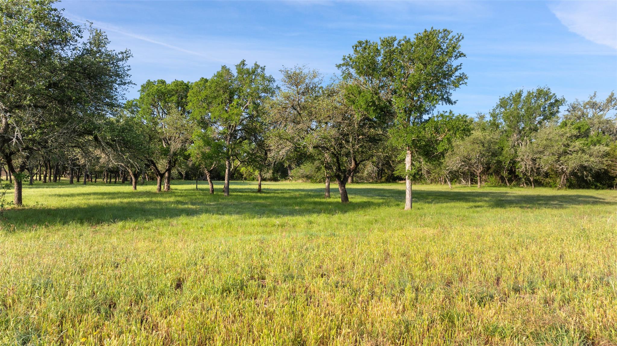 Lot 7 Morning Dew Dr, Round Mountain, TX 78663