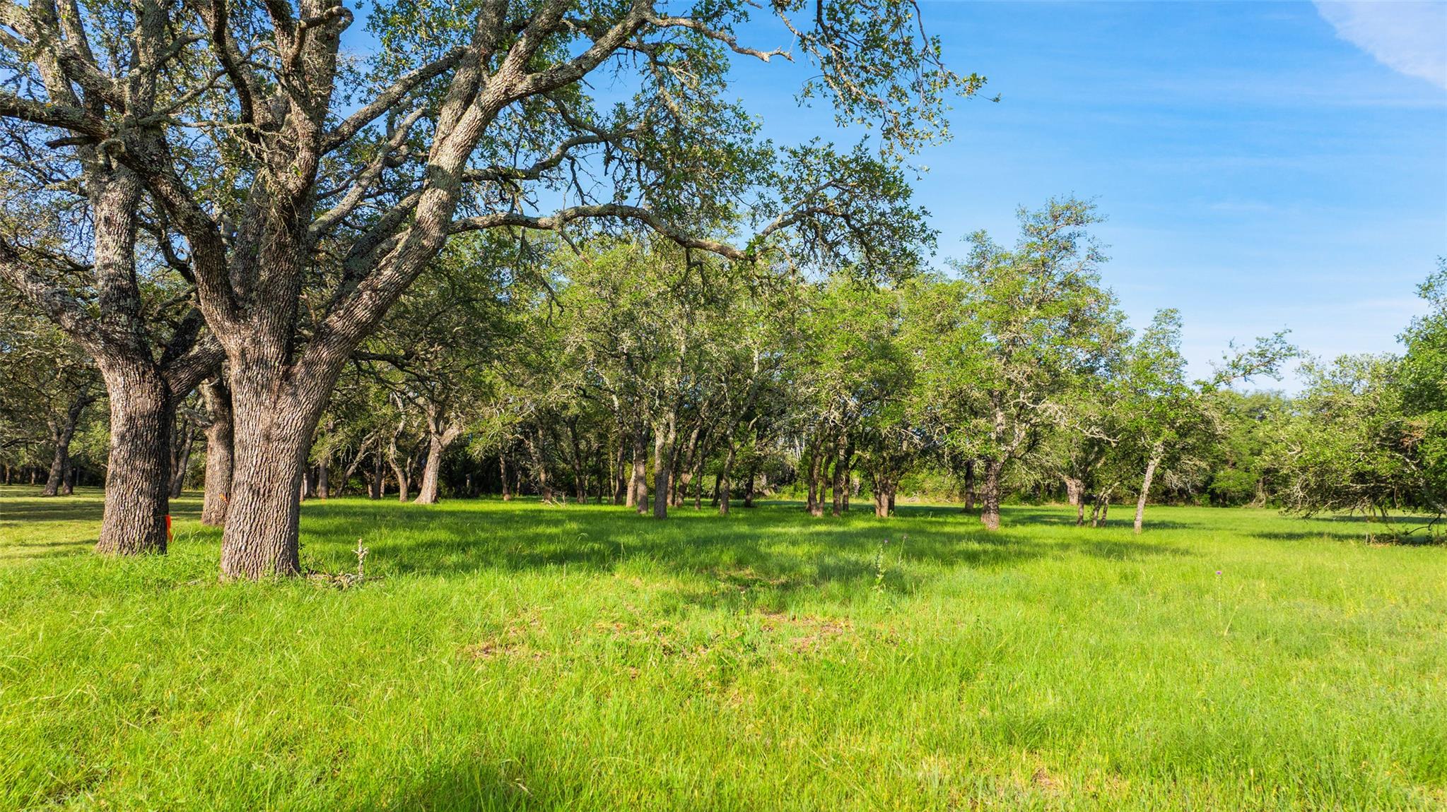 Lot 7 Morning Dew Dr, Round Mountain, TX 78663