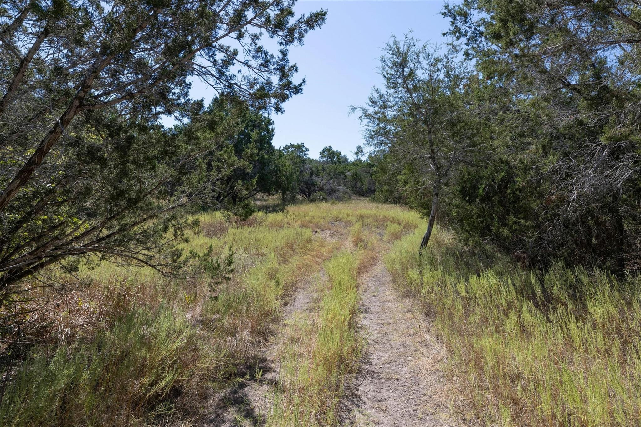 412 S Bear Creek Rd, Liberty Hill, TX 78642