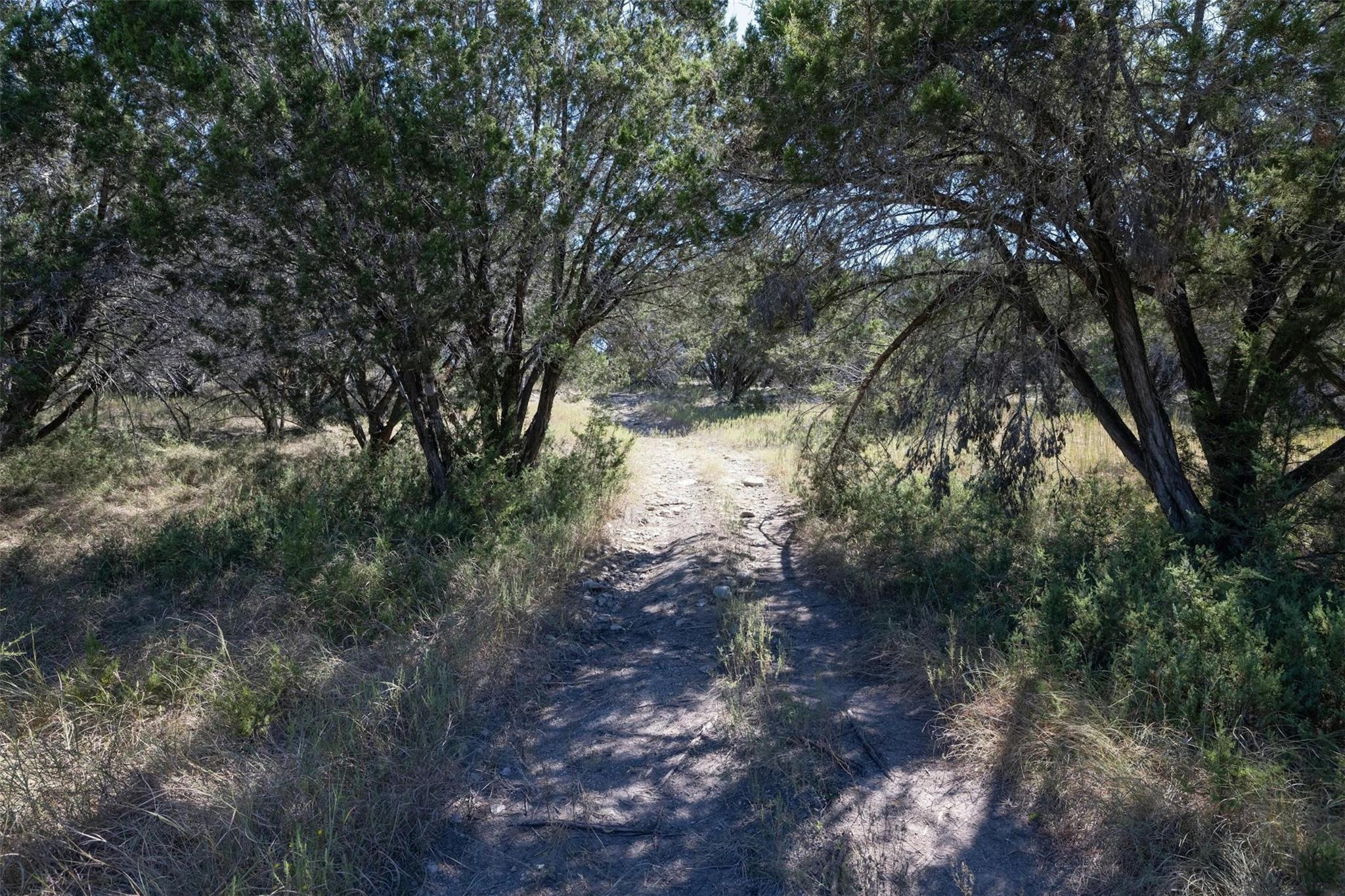 412 S Bear Creek Rd, Liberty Hill, TX 78642