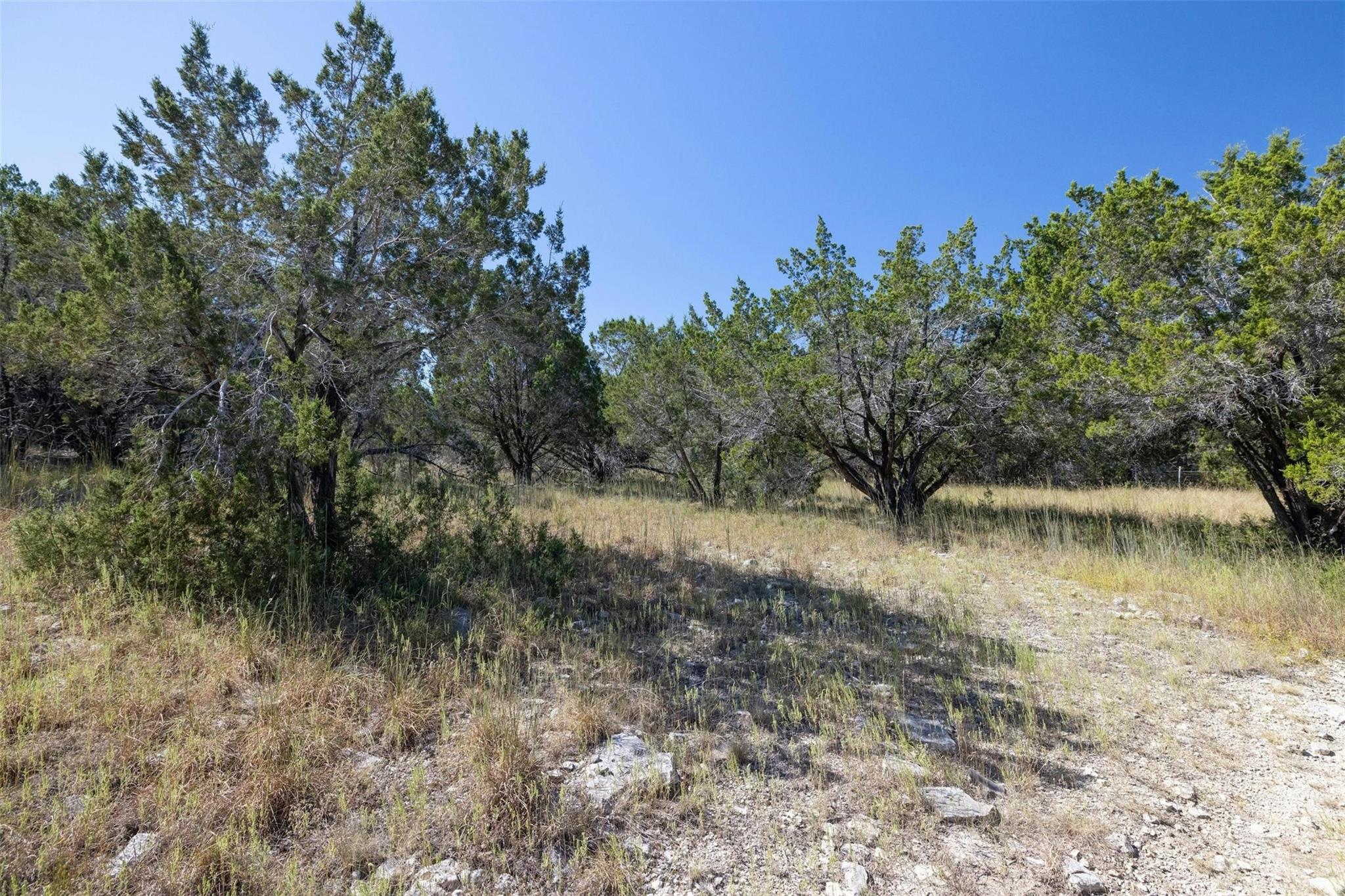 412 S Bear Creek Rd, Liberty Hill, TX 78642