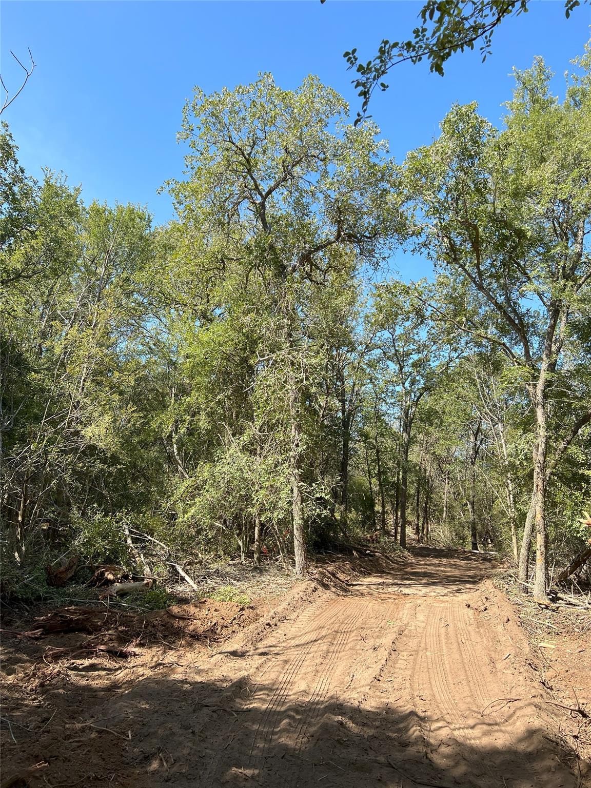Lot 29D Mesquite Dr, Cedar Creek, TX 78612