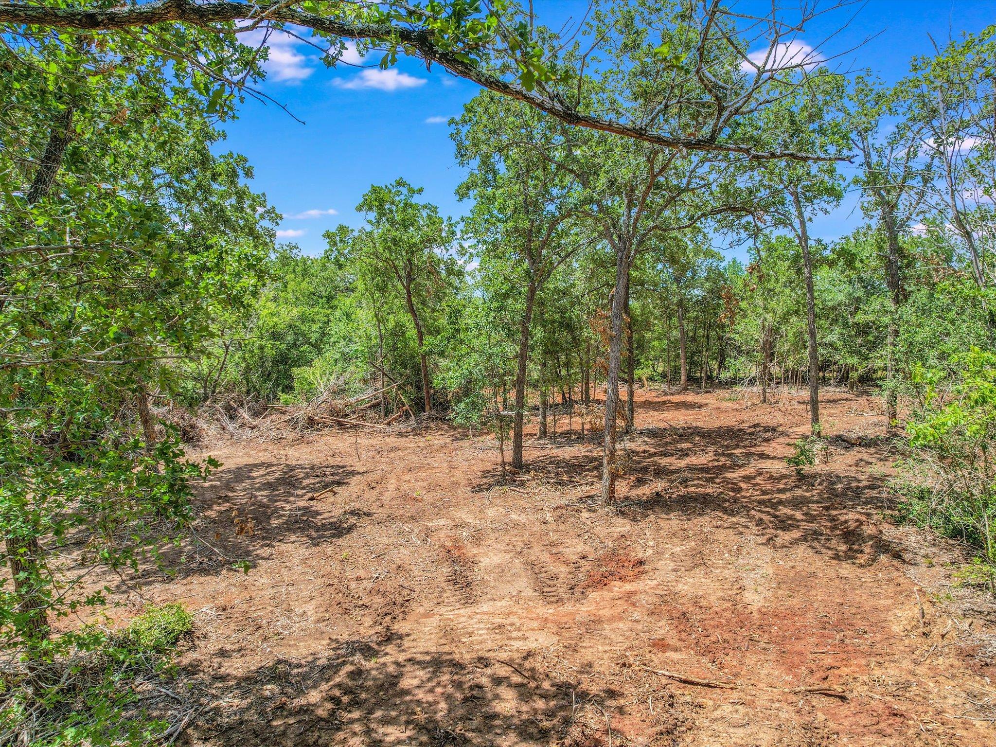 Lot 29D Mesquite Dr, Cedar Creek, TX 78612