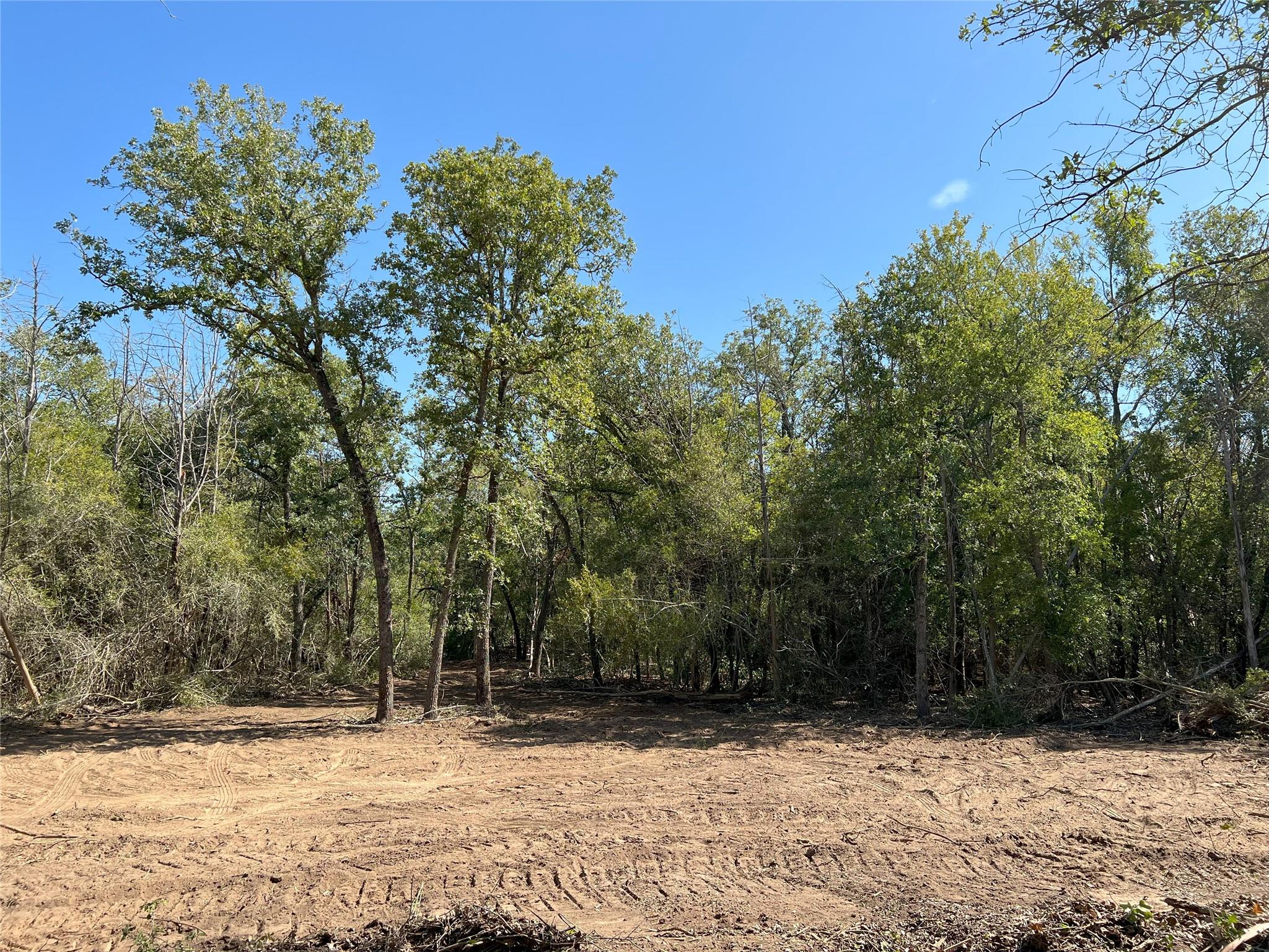 Lot 29D Mesquite Dr, Cedar Creek, TX 78612