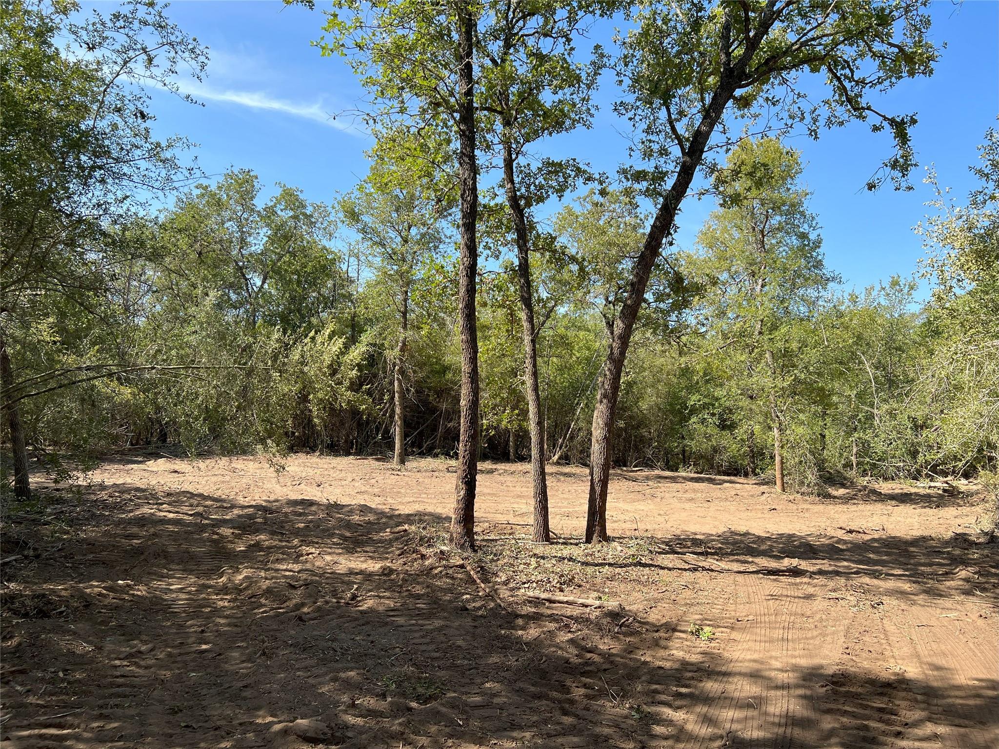 Lot 29D Mesquite Dr, Cedar Creek, TX 78612