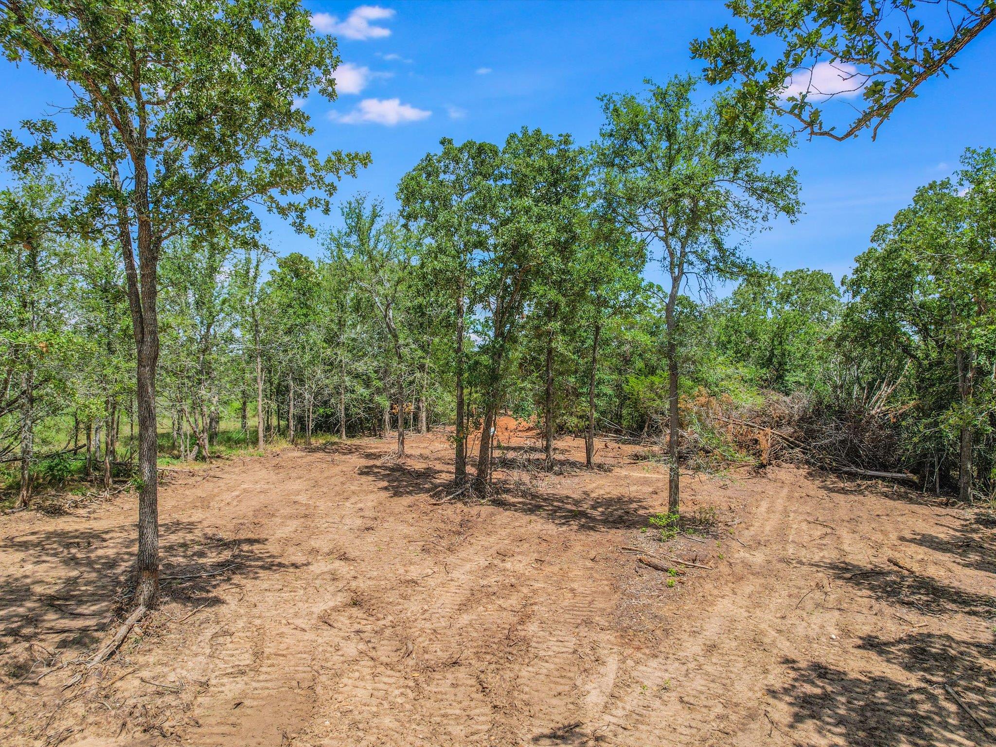 Lot 29D Mesquite Dr, Cedar Creek, TX 78612