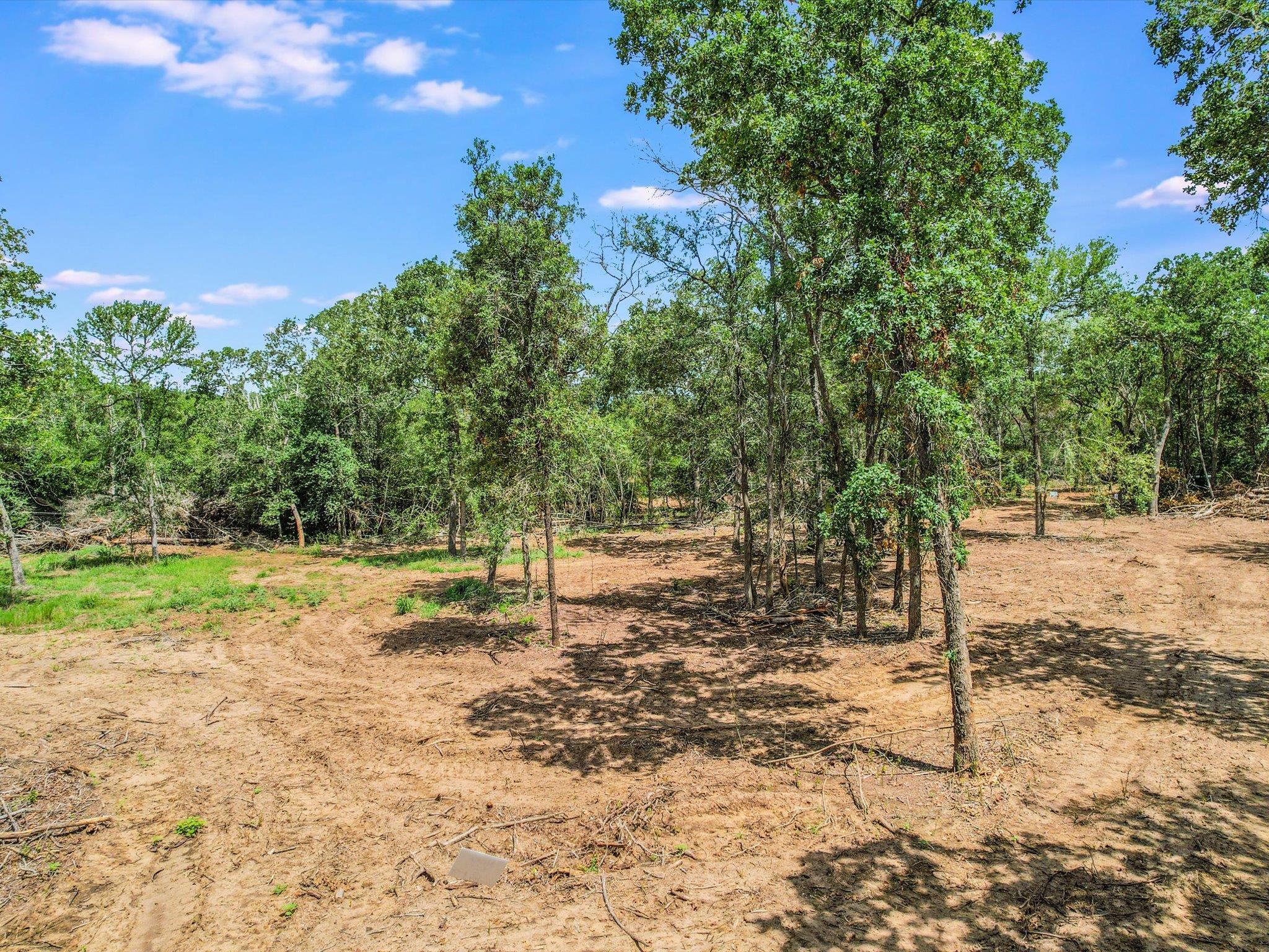 Lot 29D Mesquite Dr, Cedar Creek, TX 78612