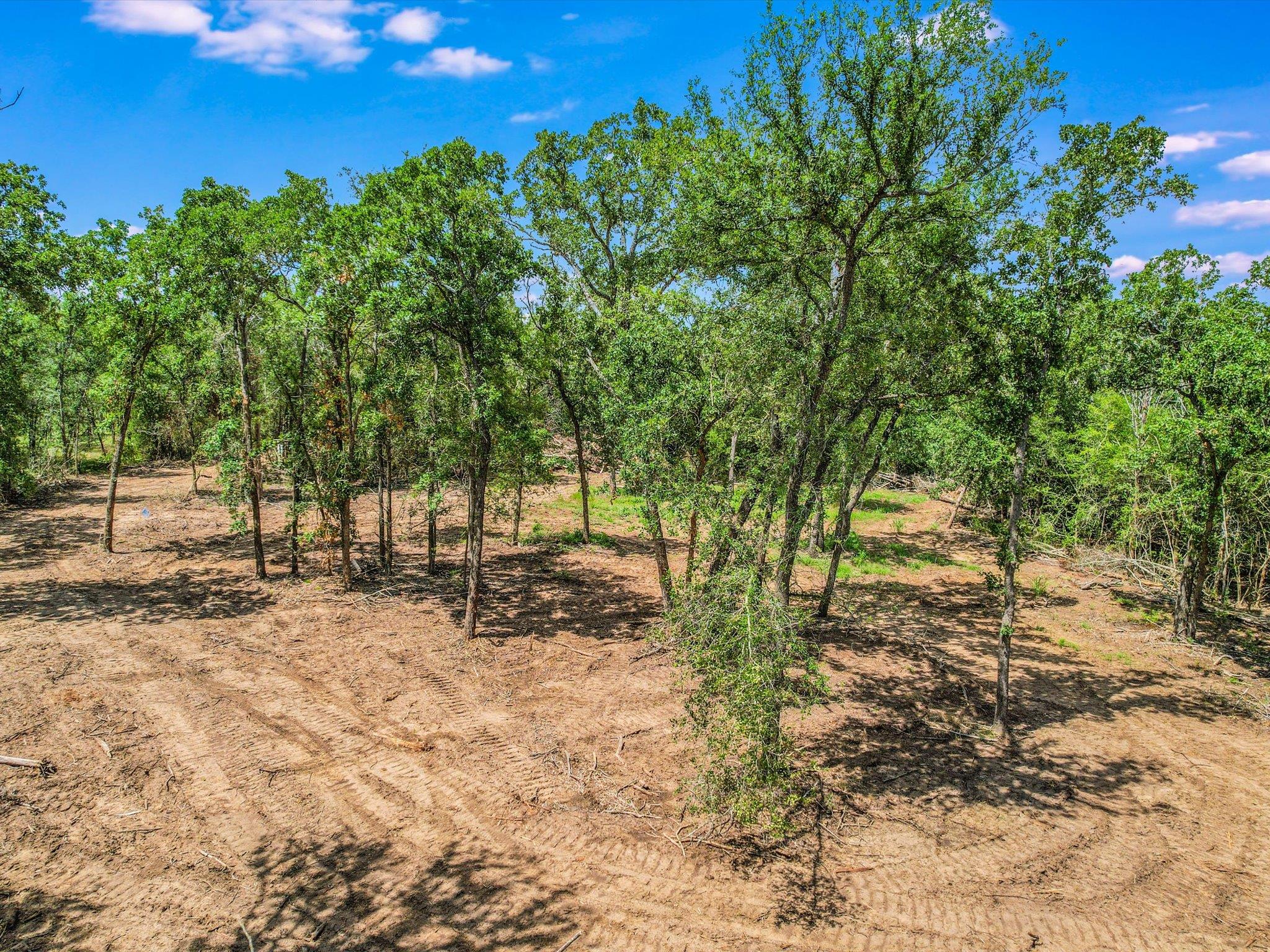 Lot 29D Mesquite Dr, Cedar Creek, TX 78612