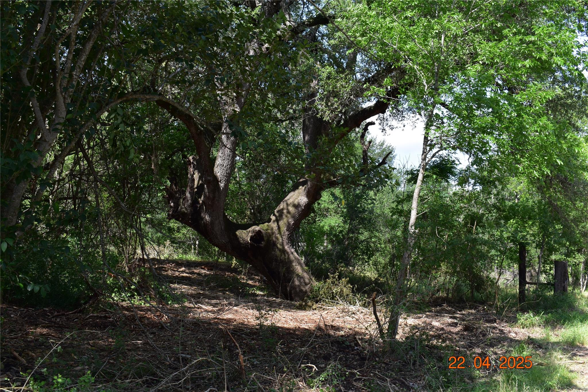 240 Caney Creek Rd, New Braunfels, TX 78130