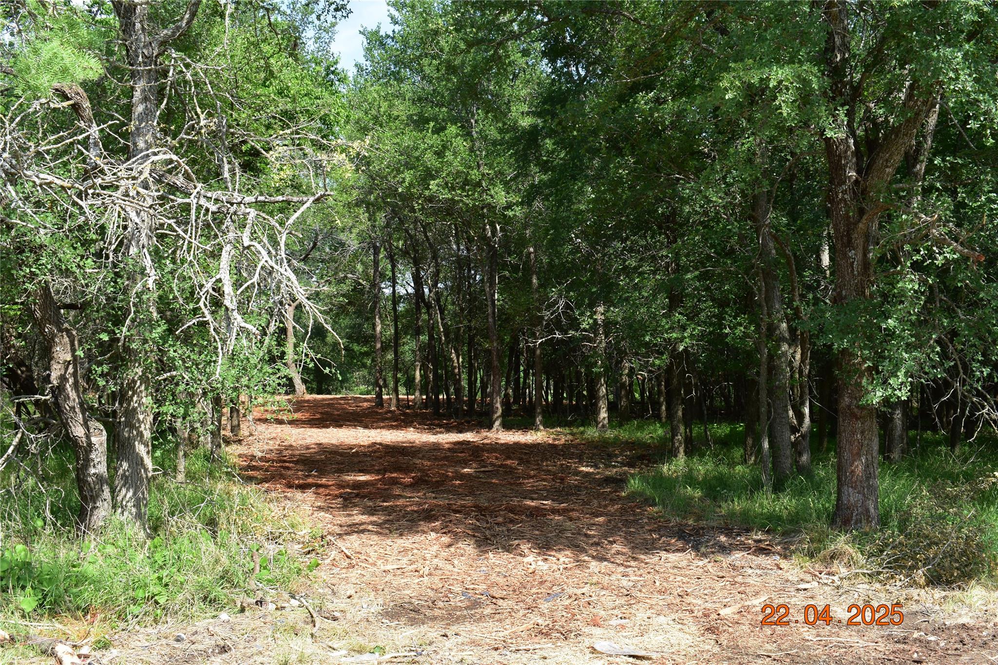 240 Caney Creek Rd, New Braunfels, TX 78130