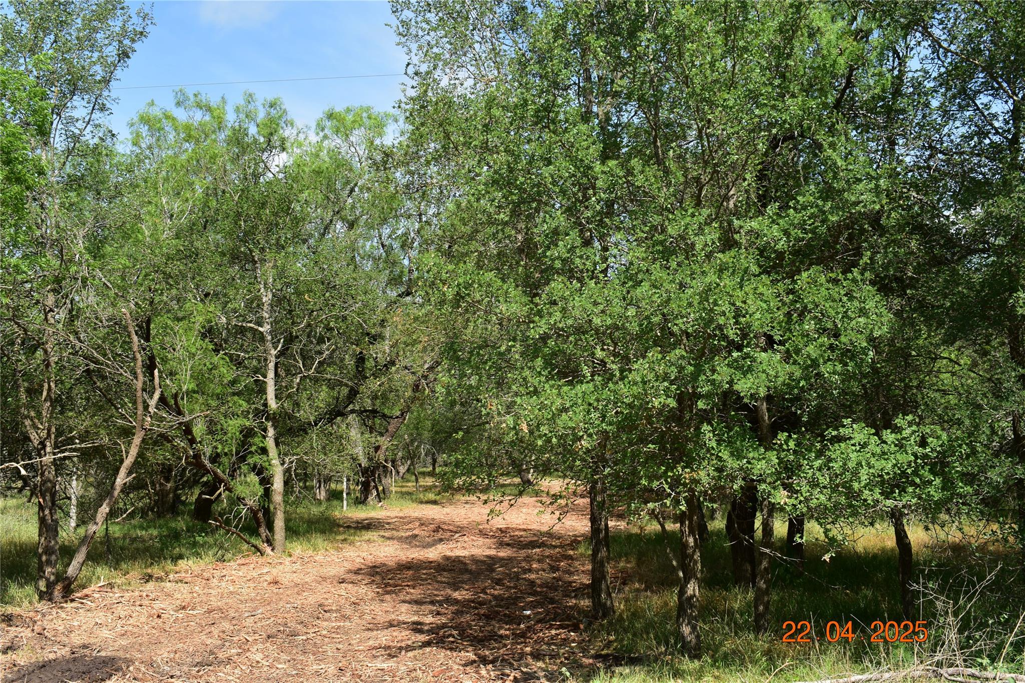 240 Caney Creek Rd, New Braunfels, TX 78130