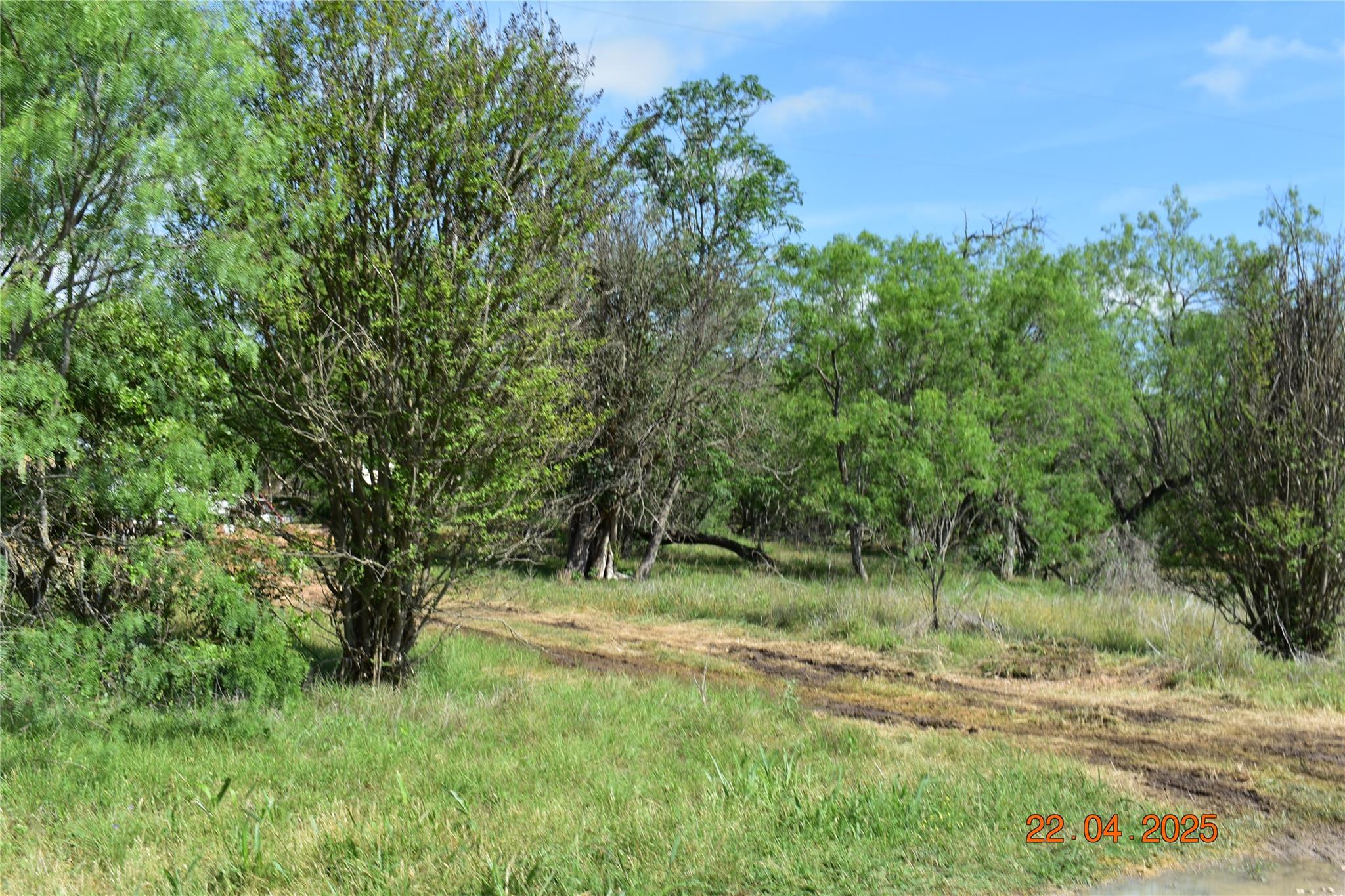 240 Caney Creek Rd, New Braunfels, TX 78130