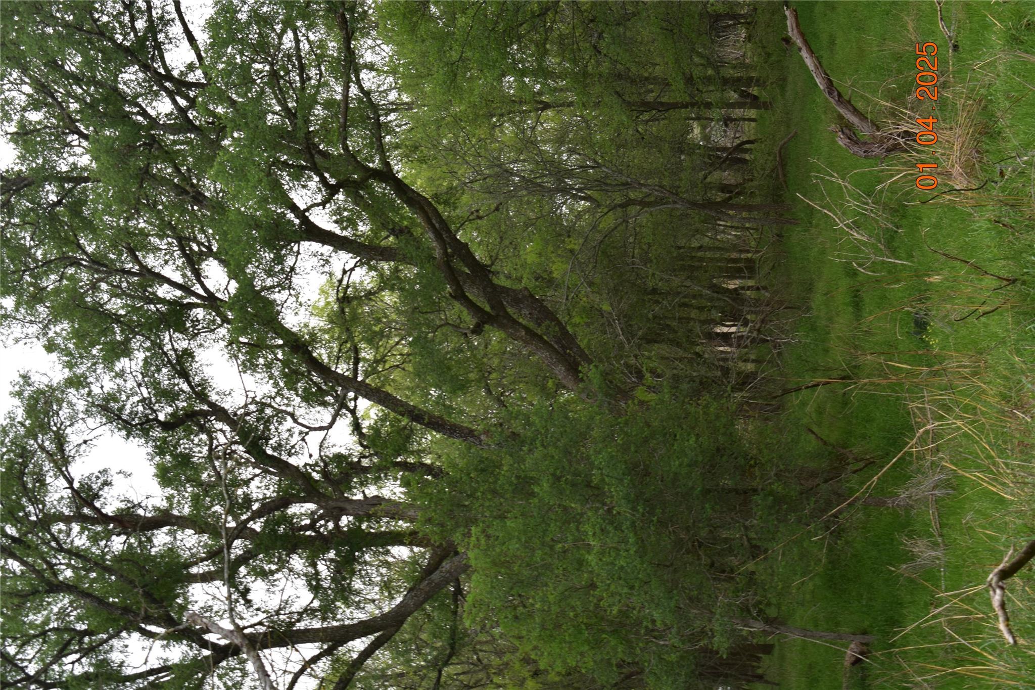 240 Caney Creek Rd, New Braunfels, TX 78130