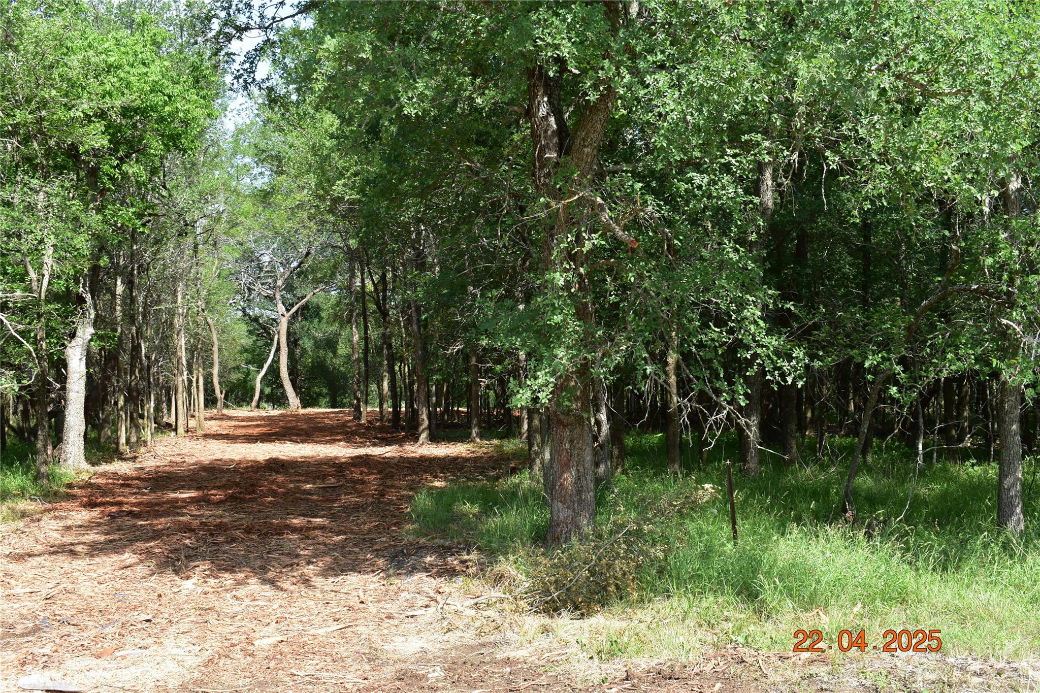 240 Caney Creek Rd, New Braunfels, TX 78130