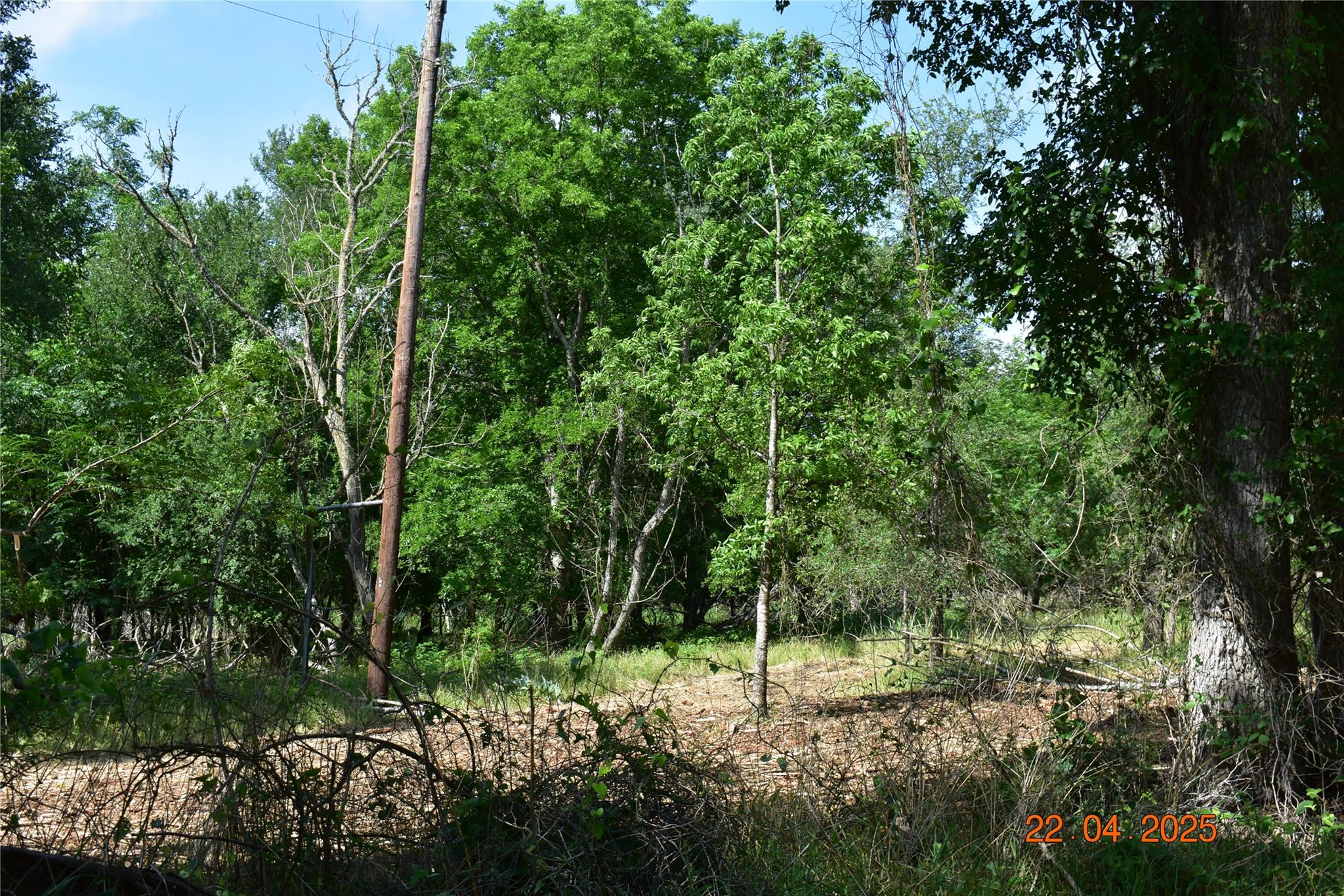 240 Caney Creek Rd, New Braunfels, TX 78130