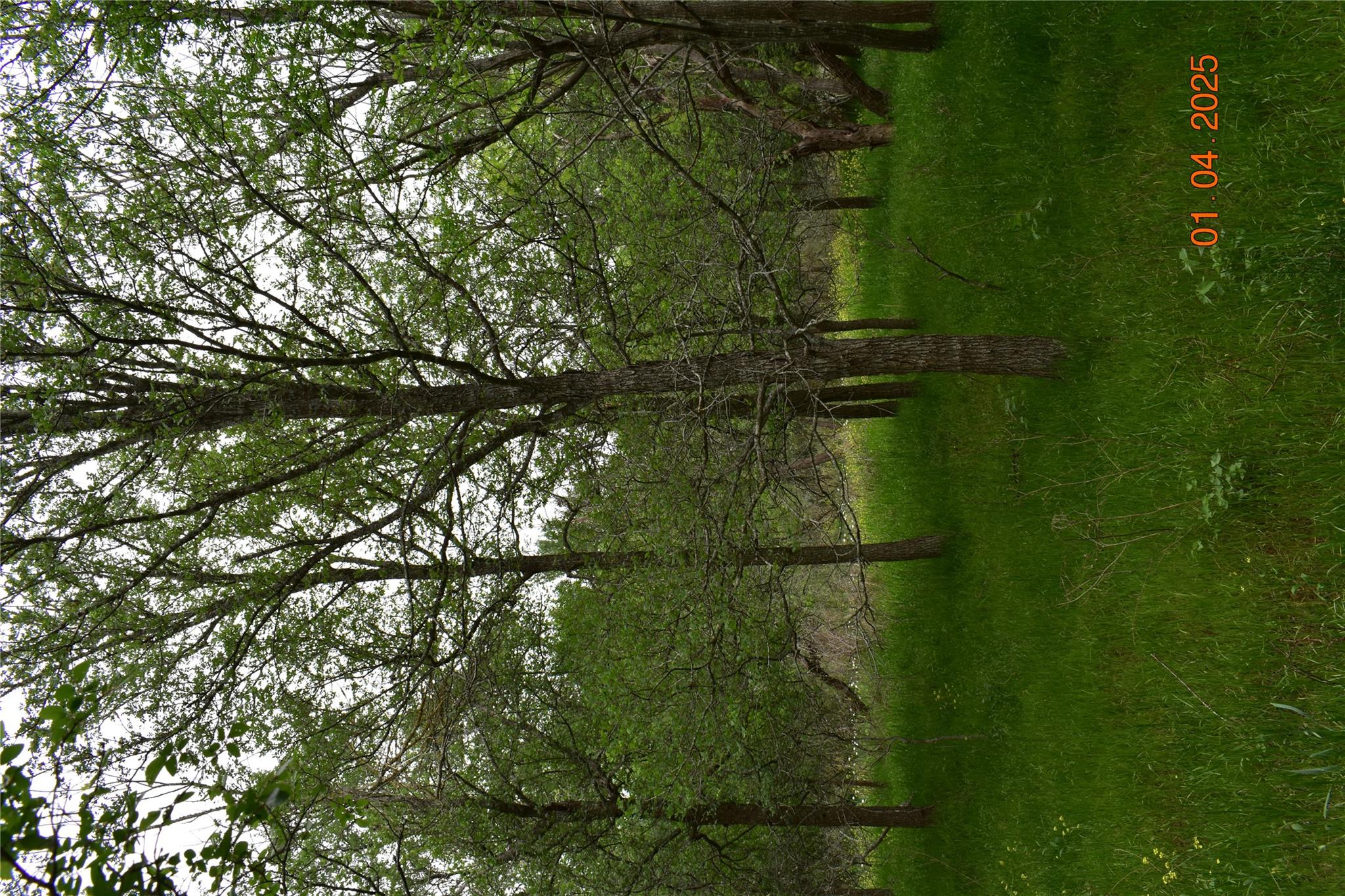 240 Caney Creek Rd, New Braunfels, TX 78130