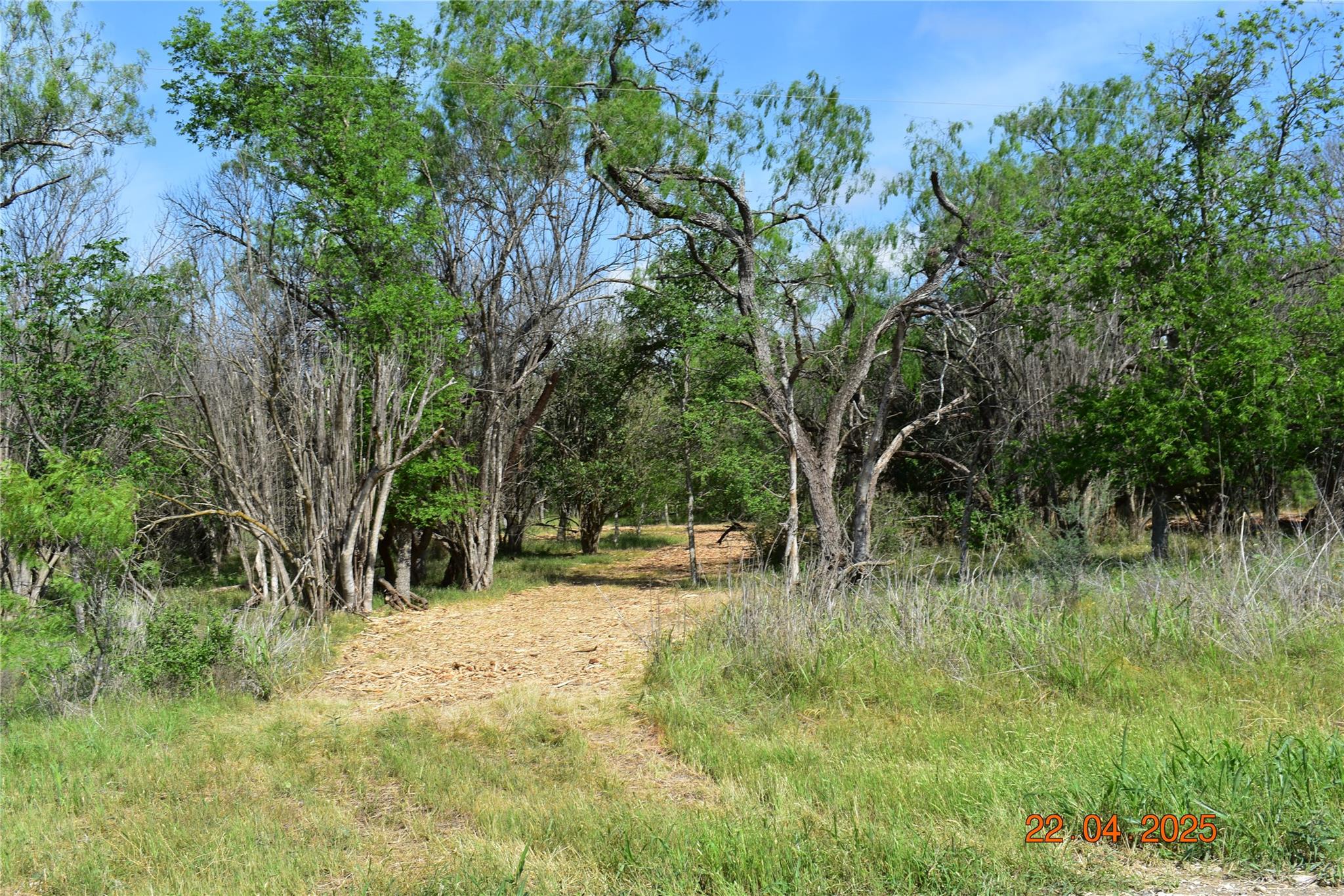 240 Caney Creek Rd, New Braunfels, TX 78130