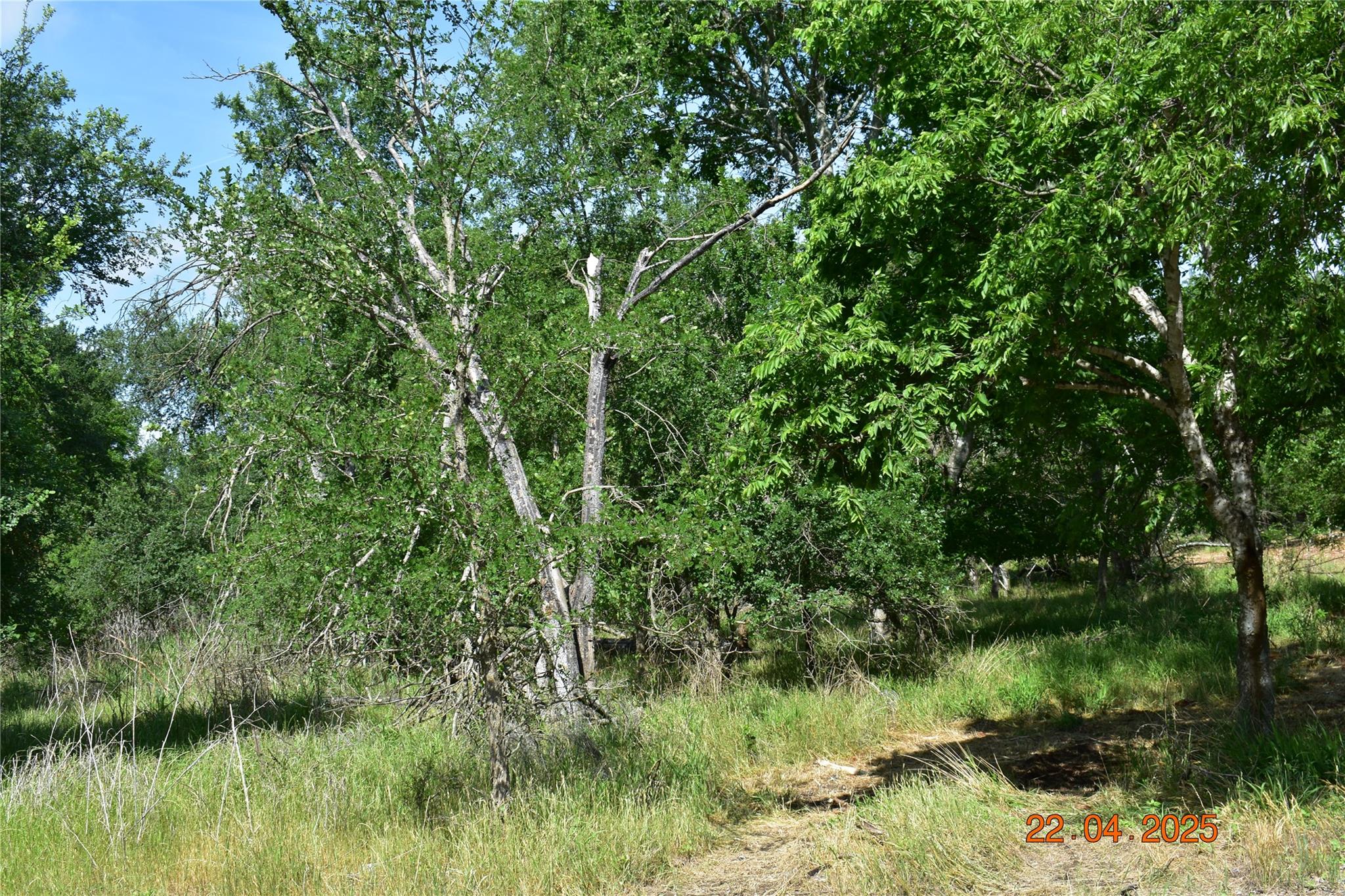 240 Caney Creek Rd, New Braunfels, TX 78130