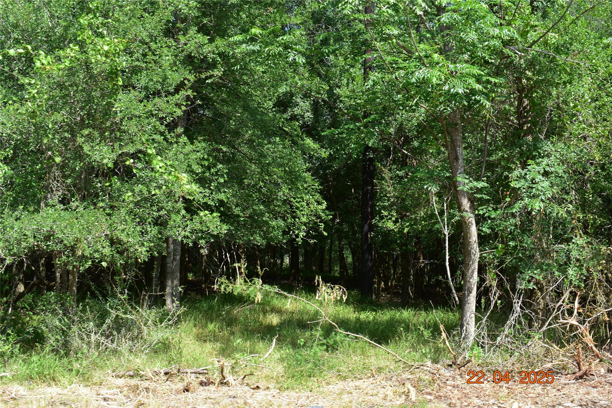 240 Caney Creek Rd, New Braunfels, TX 78130