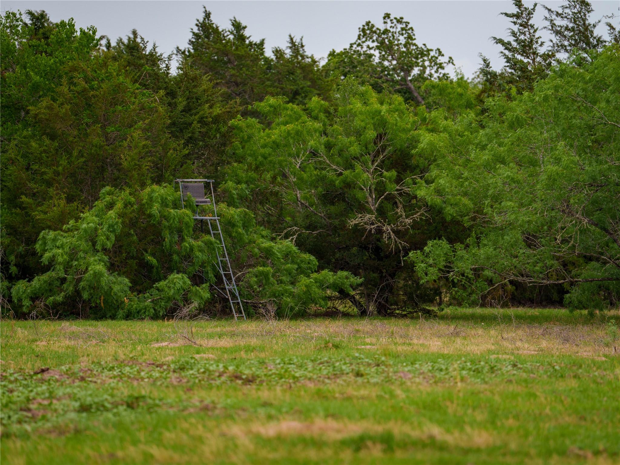 TBD Walter Hoffman Rd, Cedar Creek, TX 78612