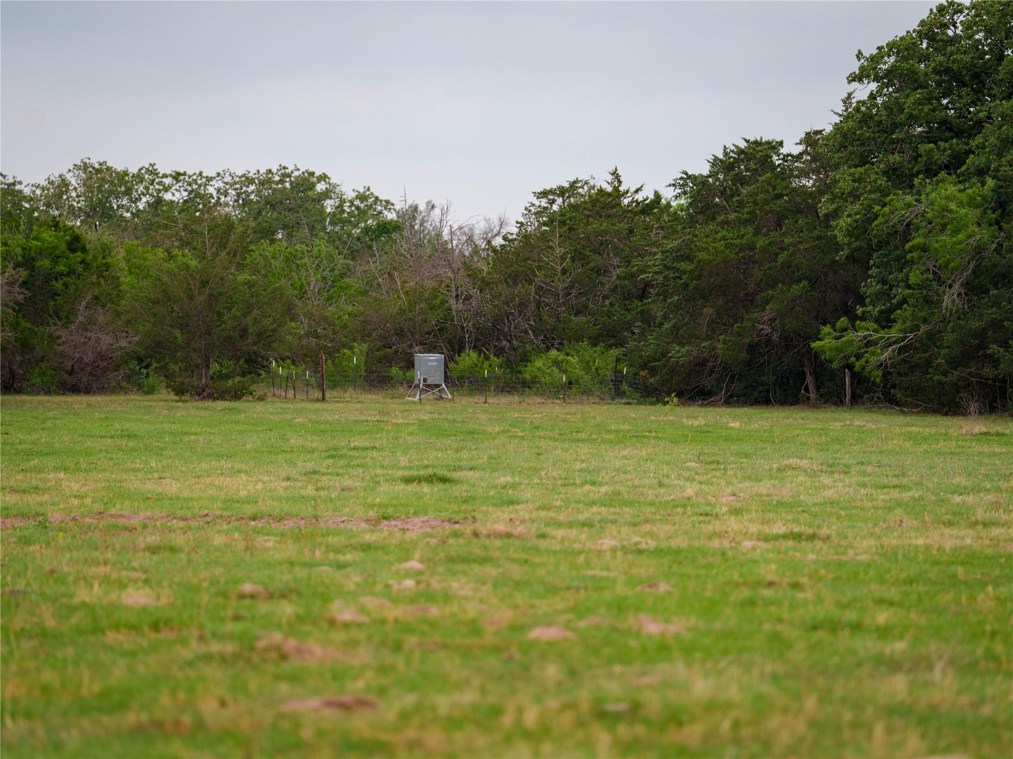 TBD Walter Hoffman Rd, Cedar Creek, TX 78612