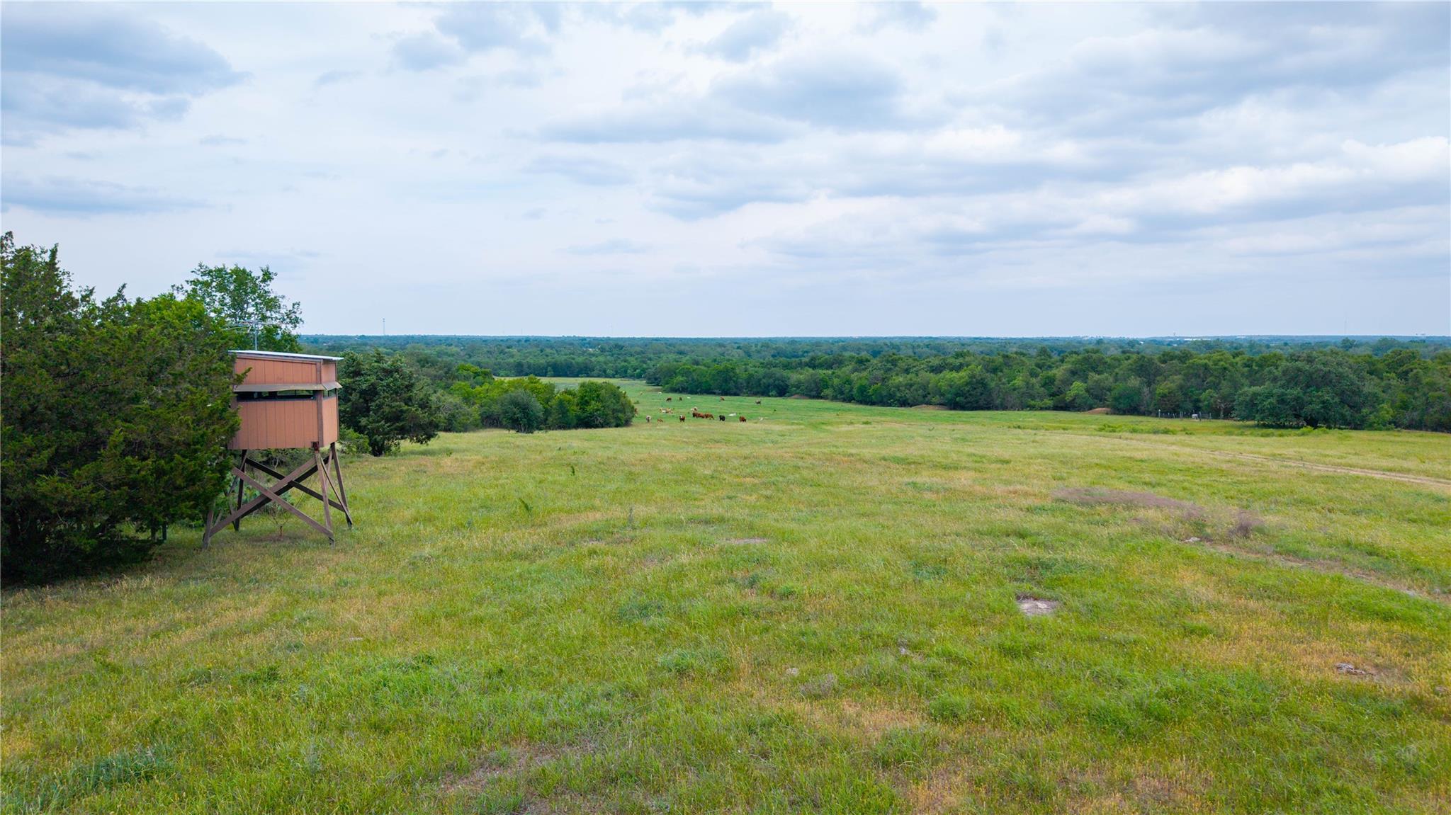 TBD Walter Hoffman Rd, Cedar Creek, TX 78612