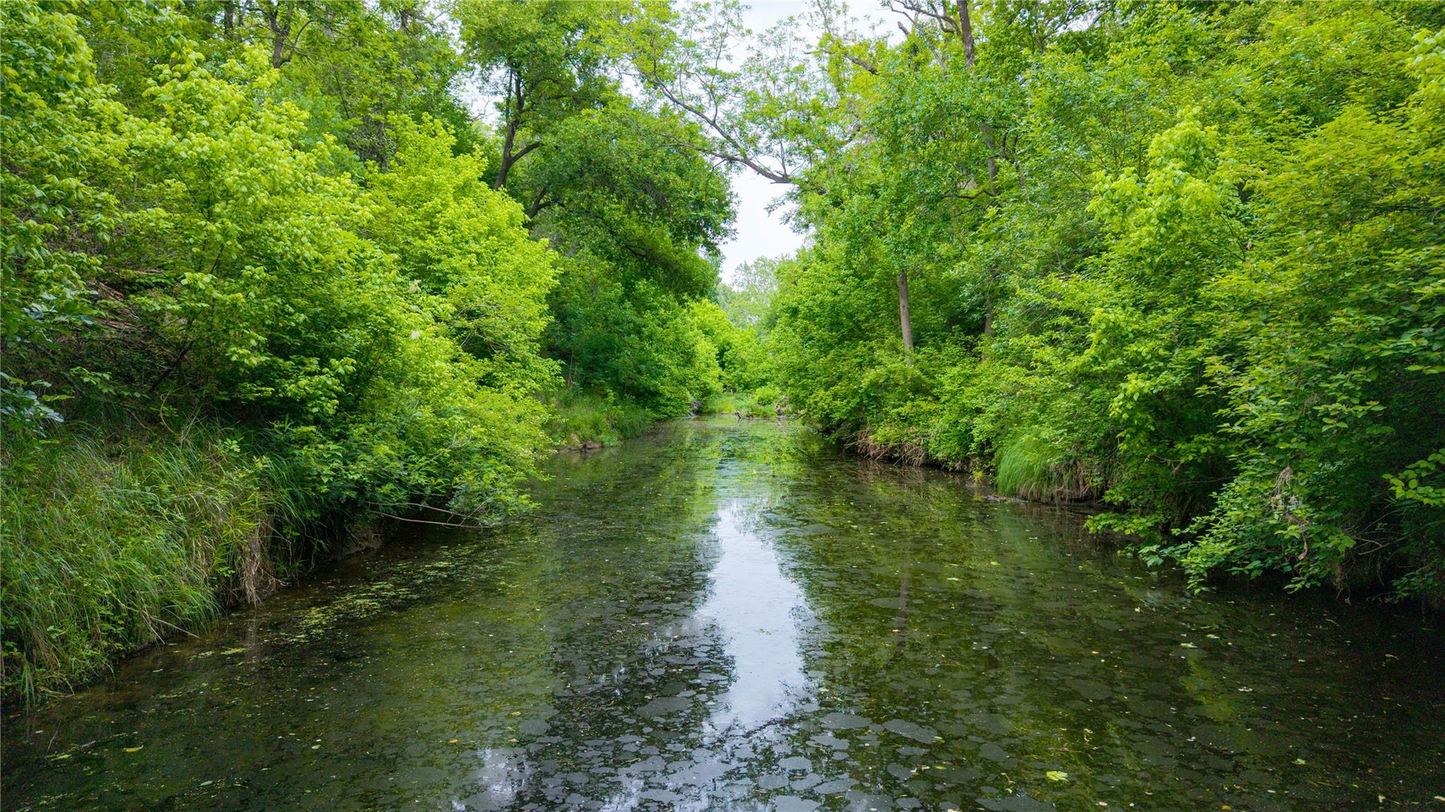 TBD Walter Hoffman Rd, Cedar Creek, TX 78612