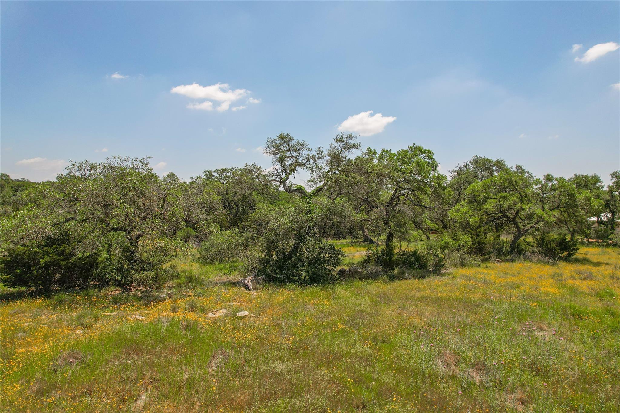 121 Asa Harold, Blanco, TX 78606