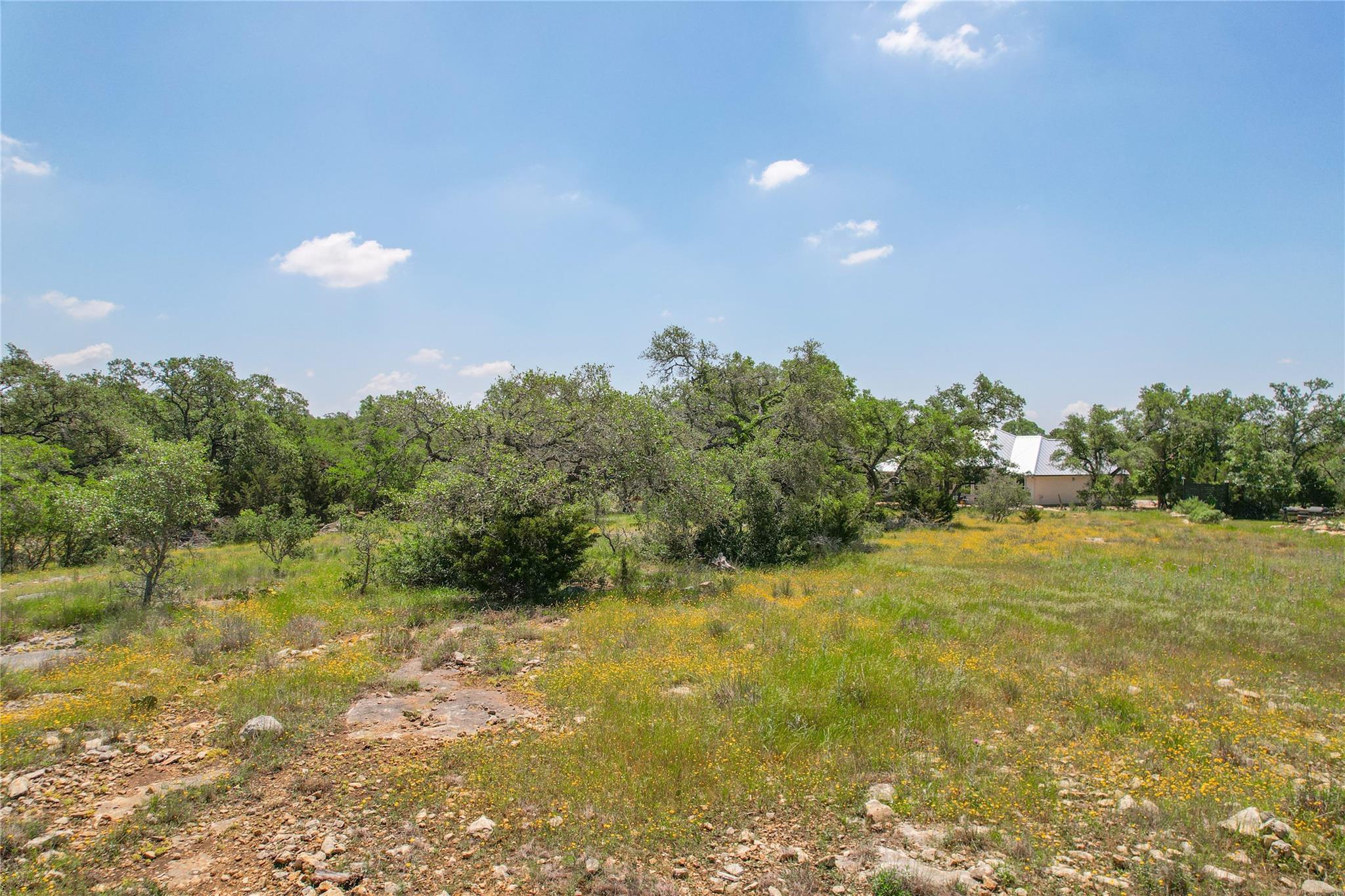 121 Asa Harold, Blanco, TX 78606
