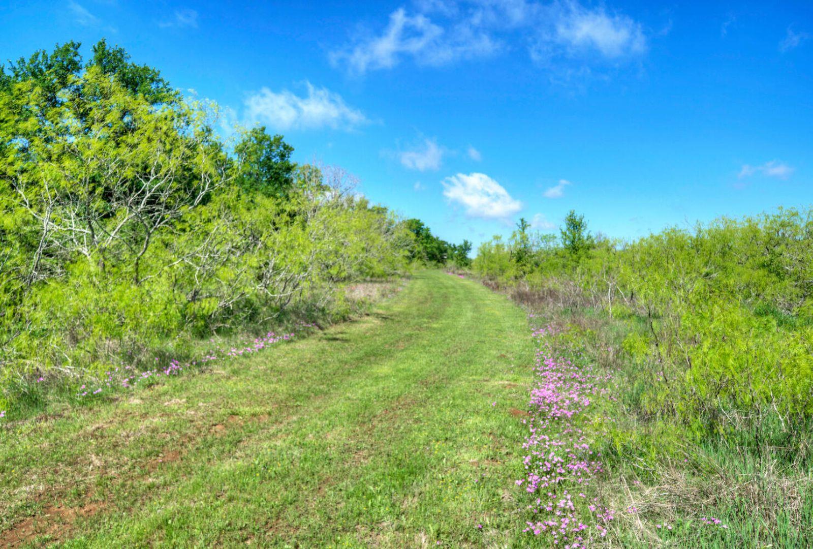 0000 County Road 463, Elgin, TX 78621