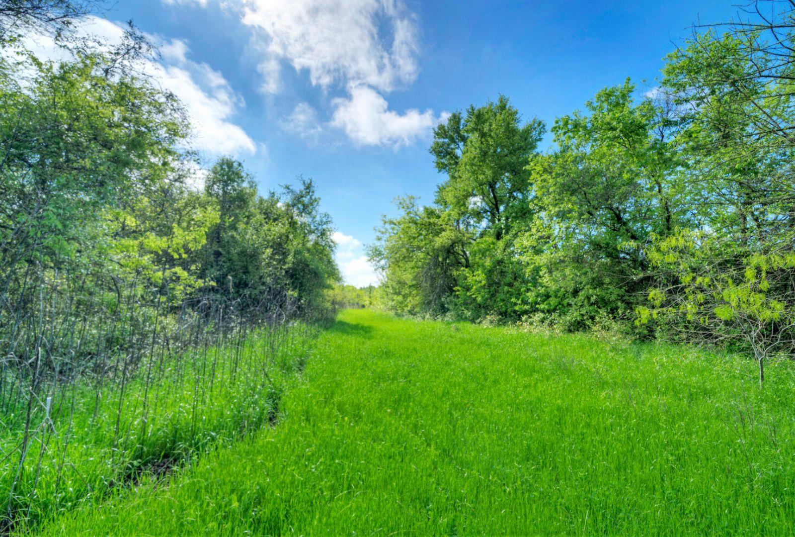 0000 County Road 463, Elgin, TX 78621