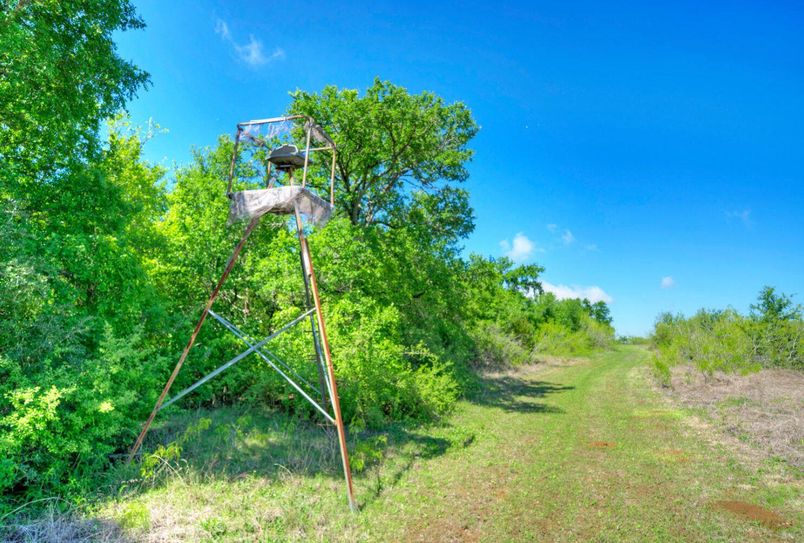 0000 County Road 463, Elgin, TX 78621